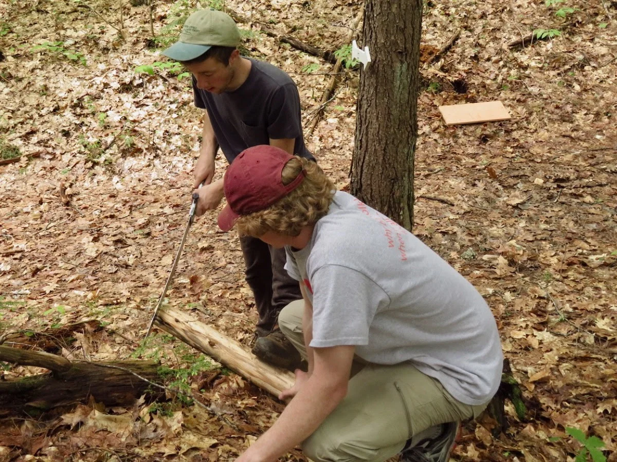 GLLT Announces Opening of Storybook Trail — Greater Lovell Land Trust