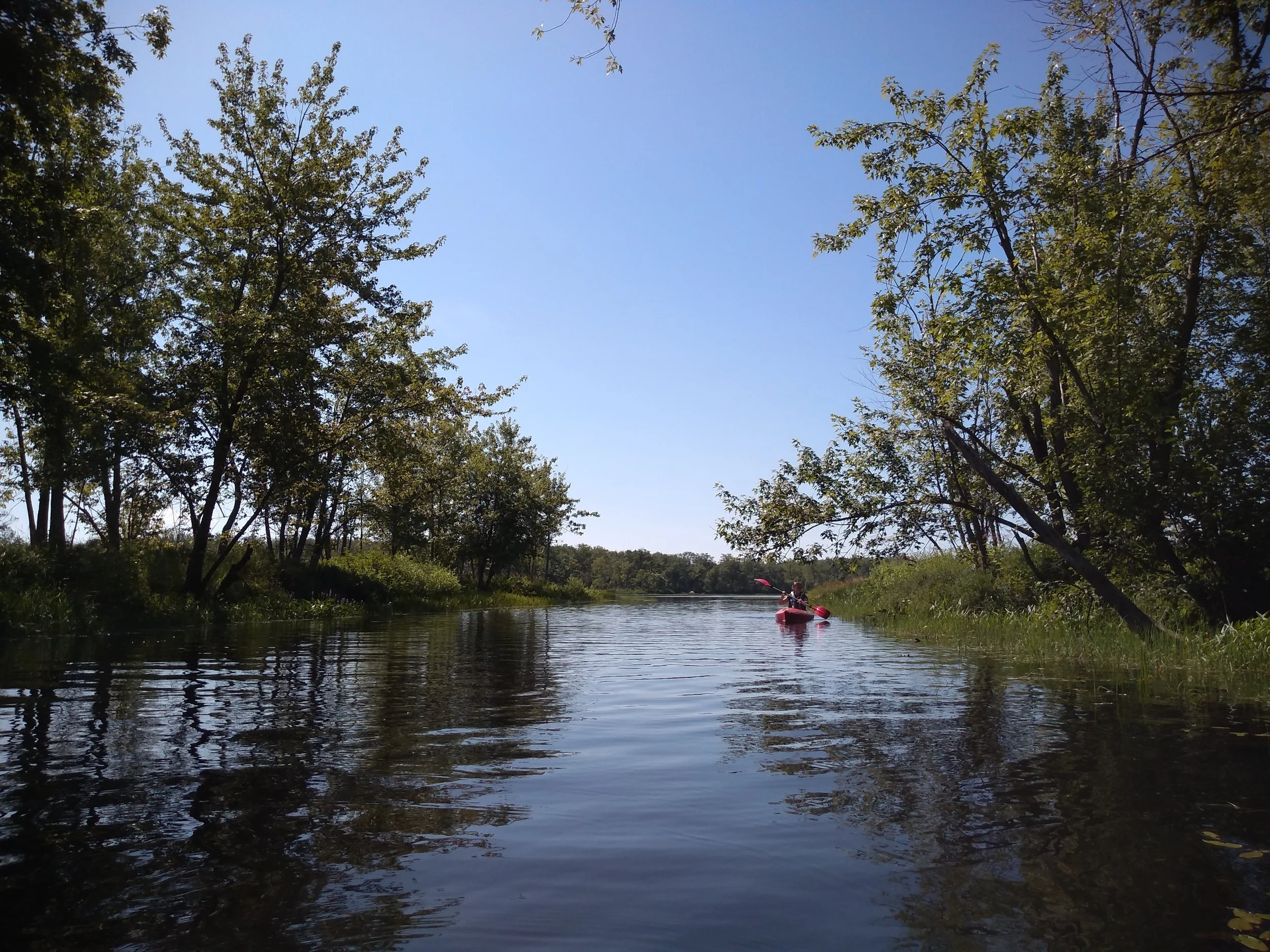 Meet the new Executive Director of the Greater Lovell Land Trust