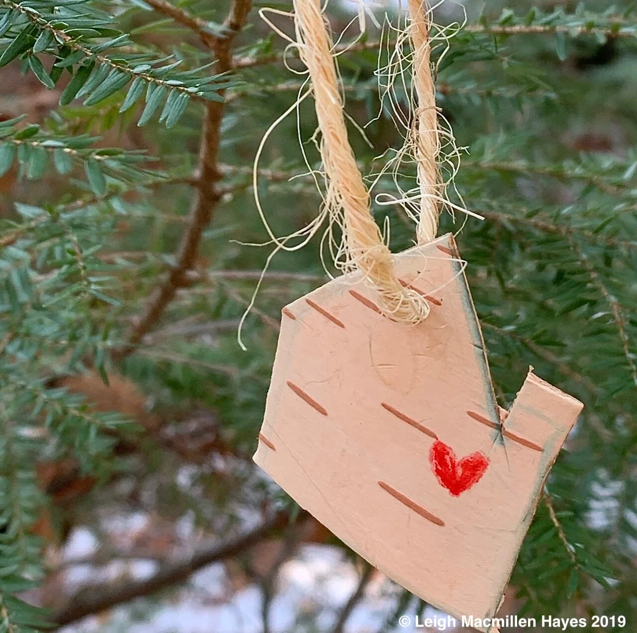 ME/NH Christmas Tree Quest