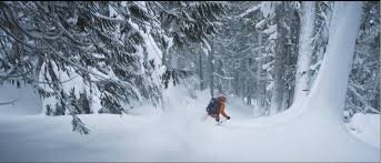 Treeline Film Screening