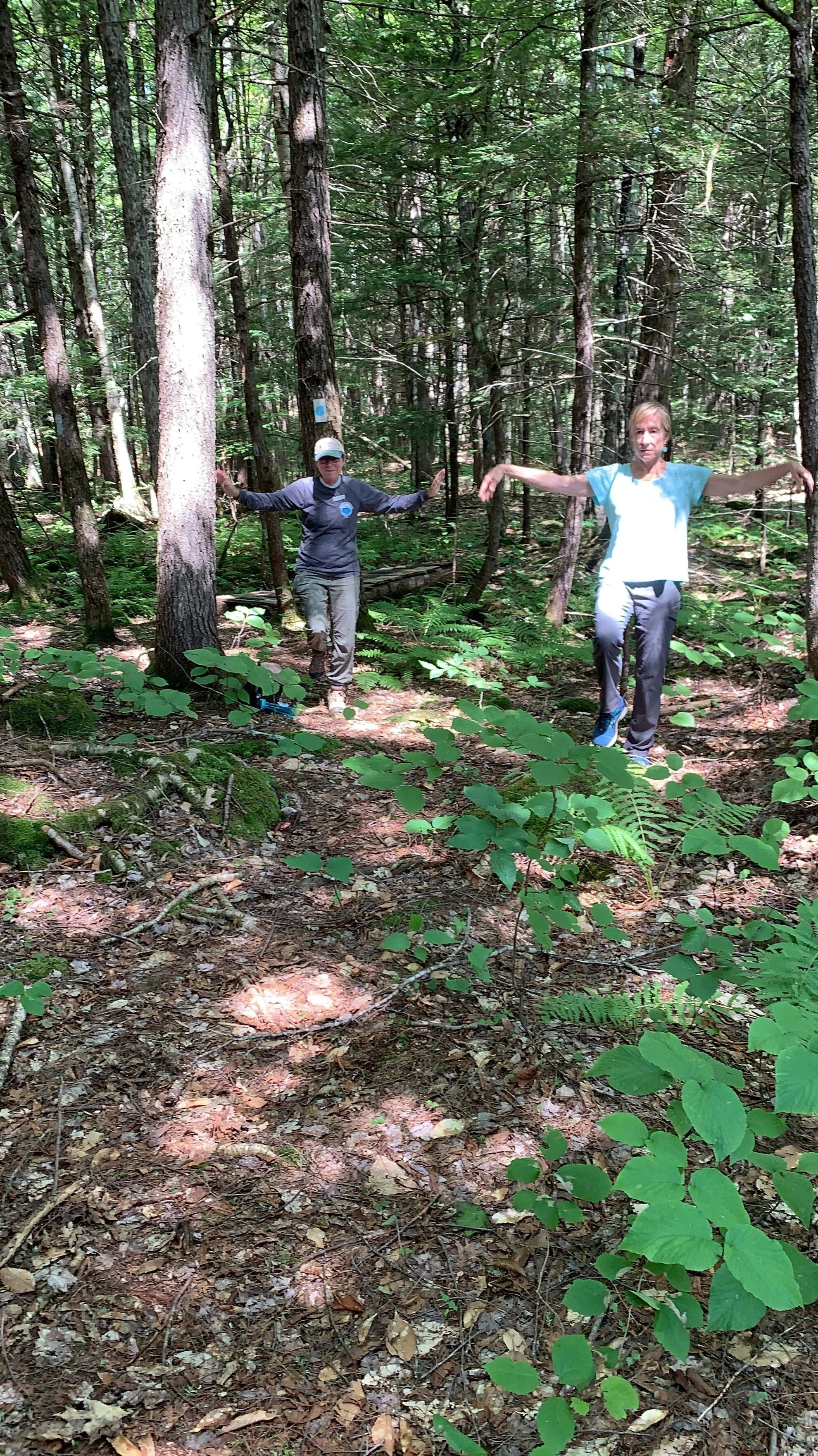 Series for the Soul: Yoga In The Woods