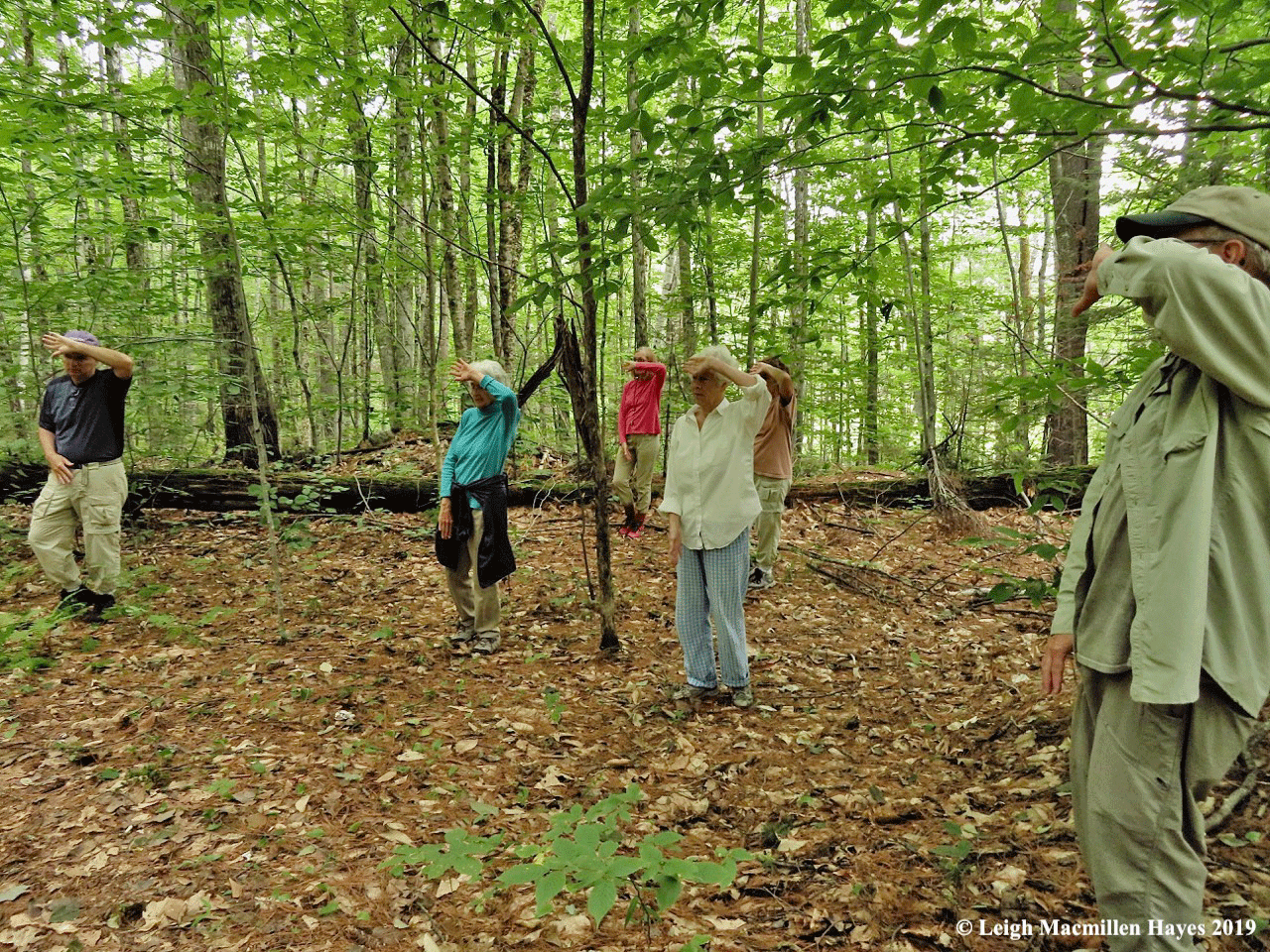 Tai Chi on the Trail