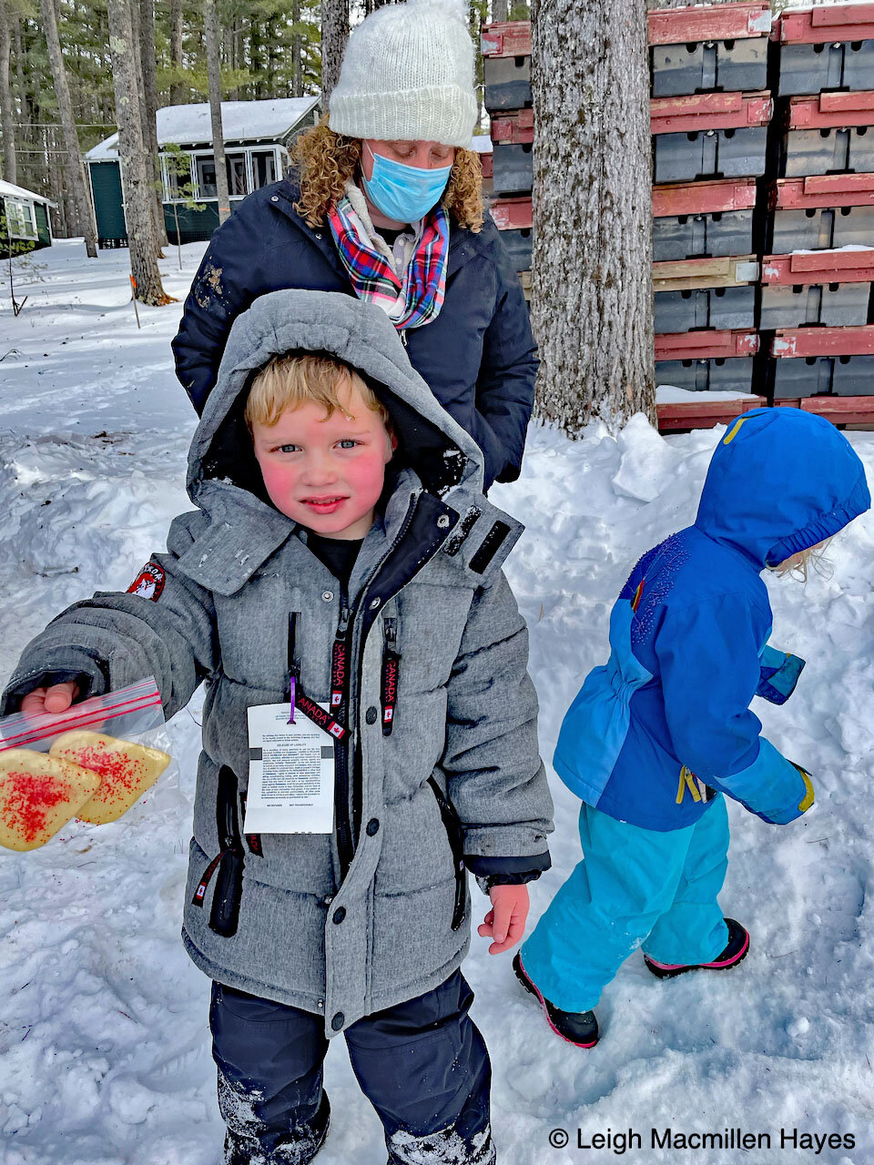 First Annual GLLT/Lovell Rec Community Snow Day 2021 — Greater Lovell