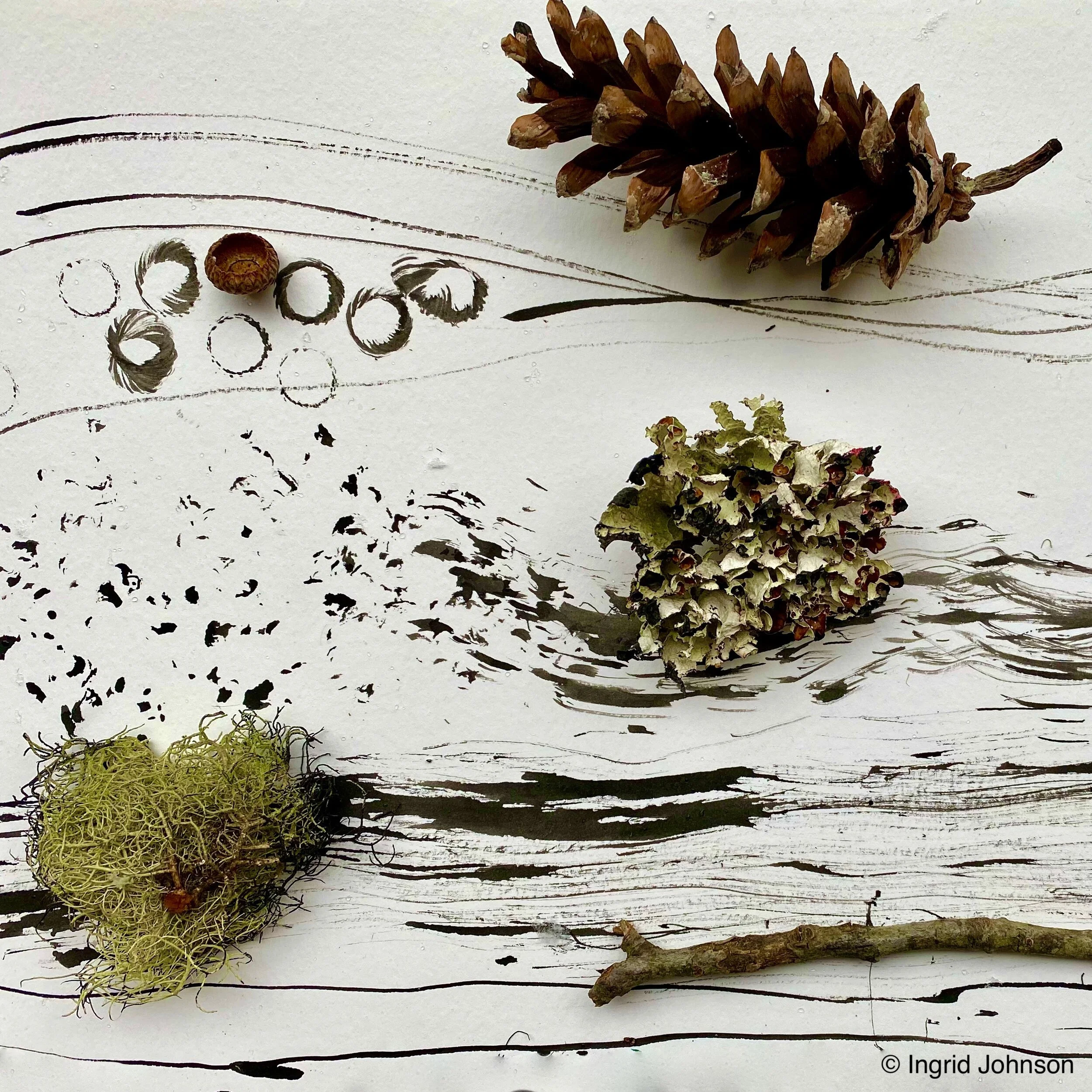 Series for the Soul: Painting Nature with Natural Materials