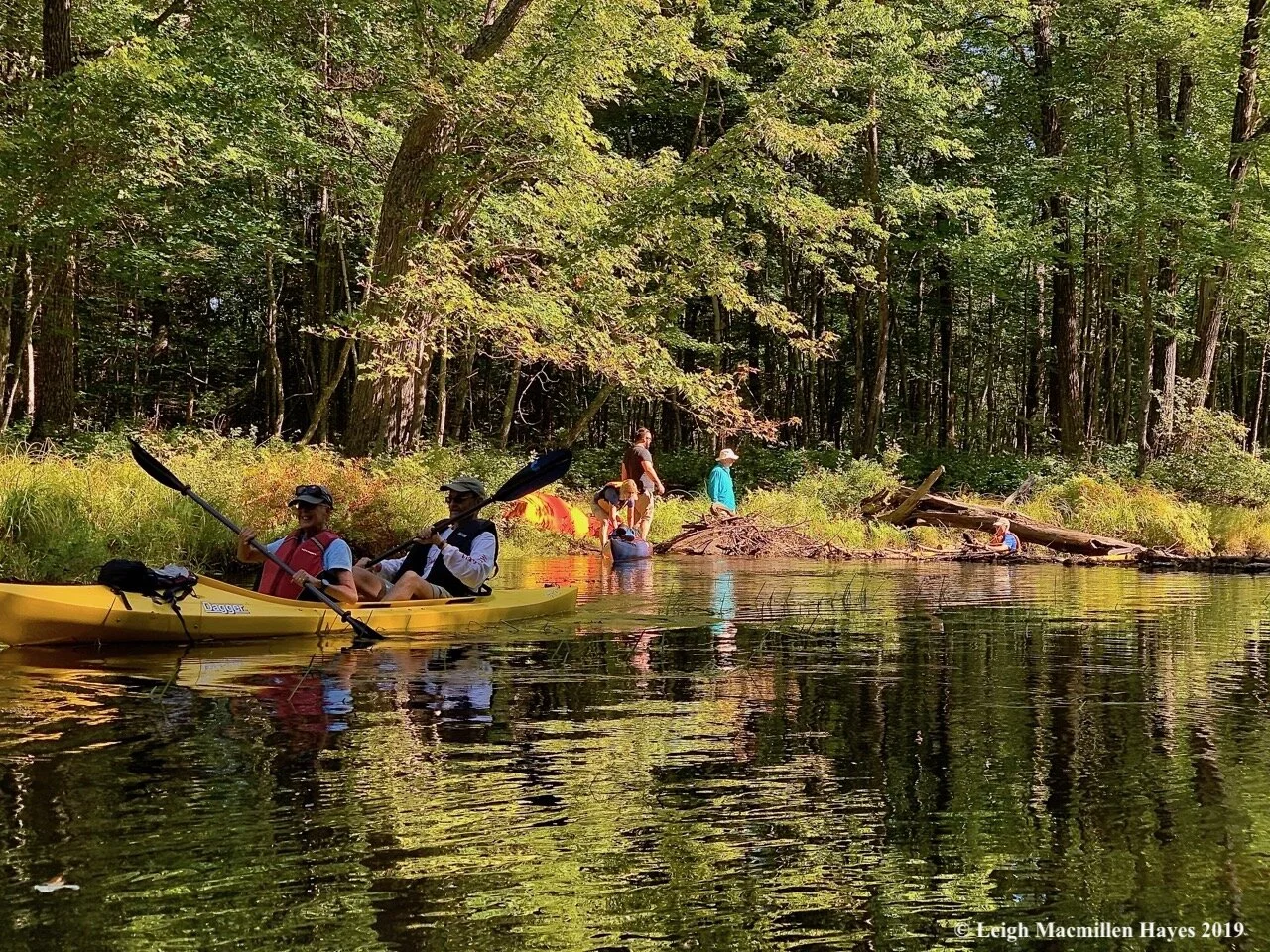 Charles Pond Paddle