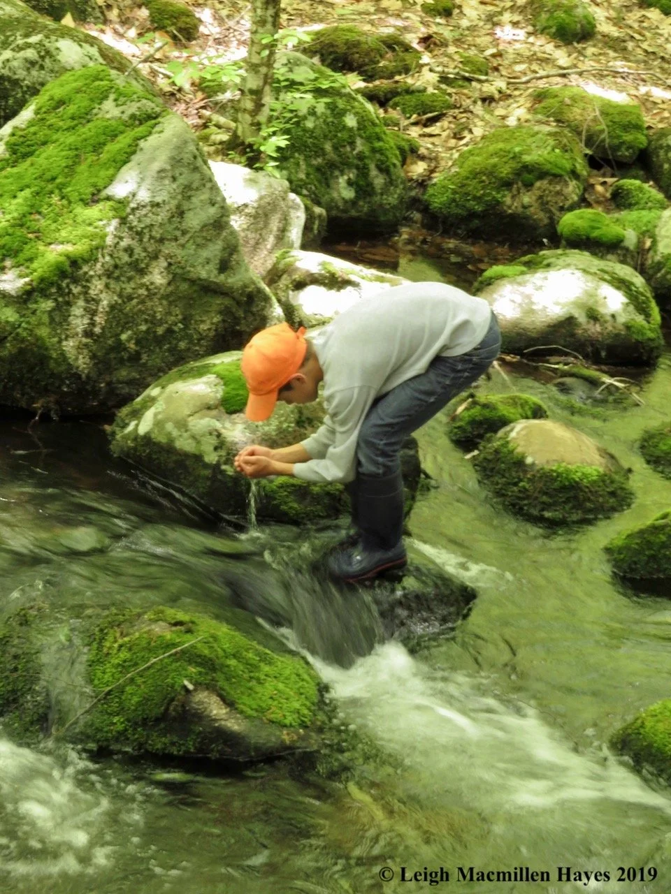 Afternoon Stroll in the Shade