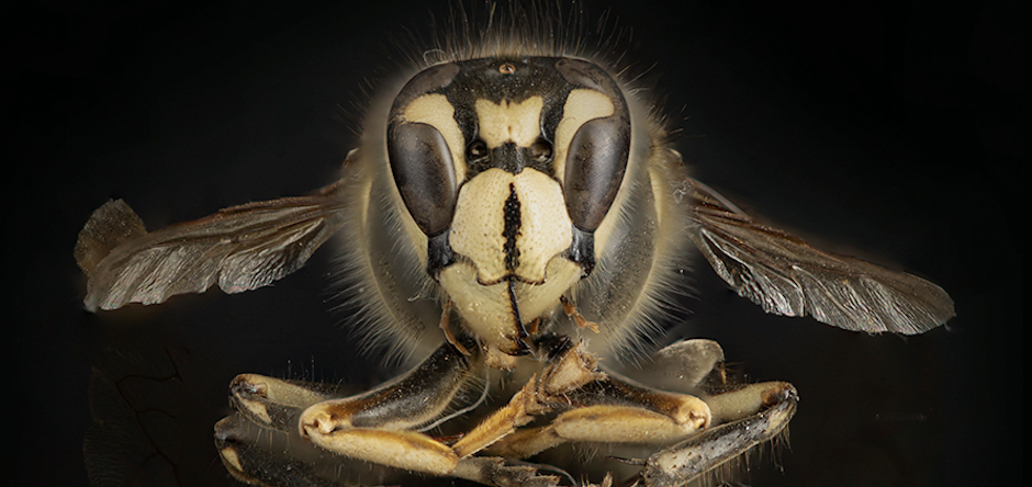 mac·ro·pho·tog·ra·phy