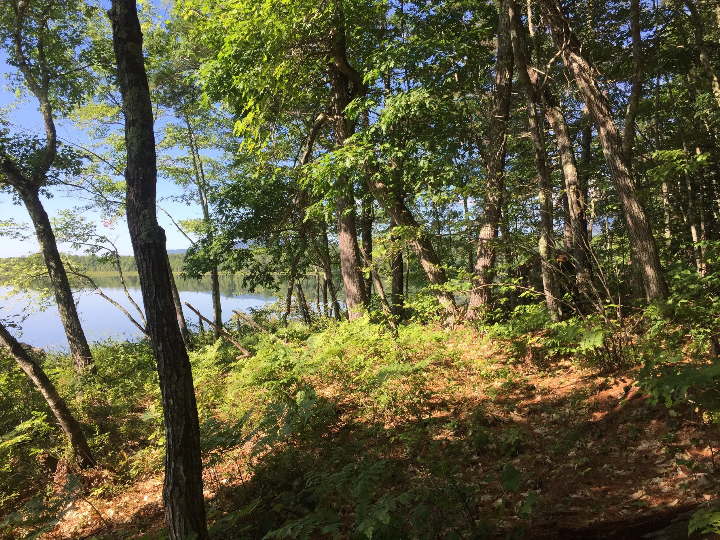 Charles Pond Hike