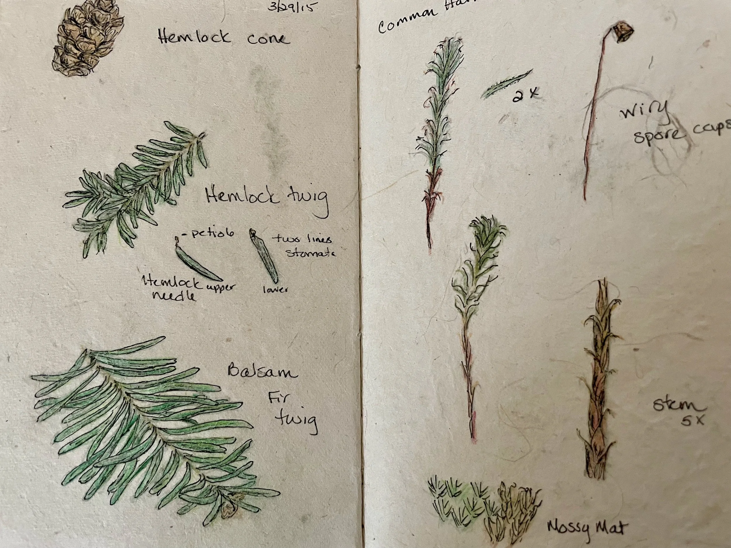 Journal Book Making Workshop