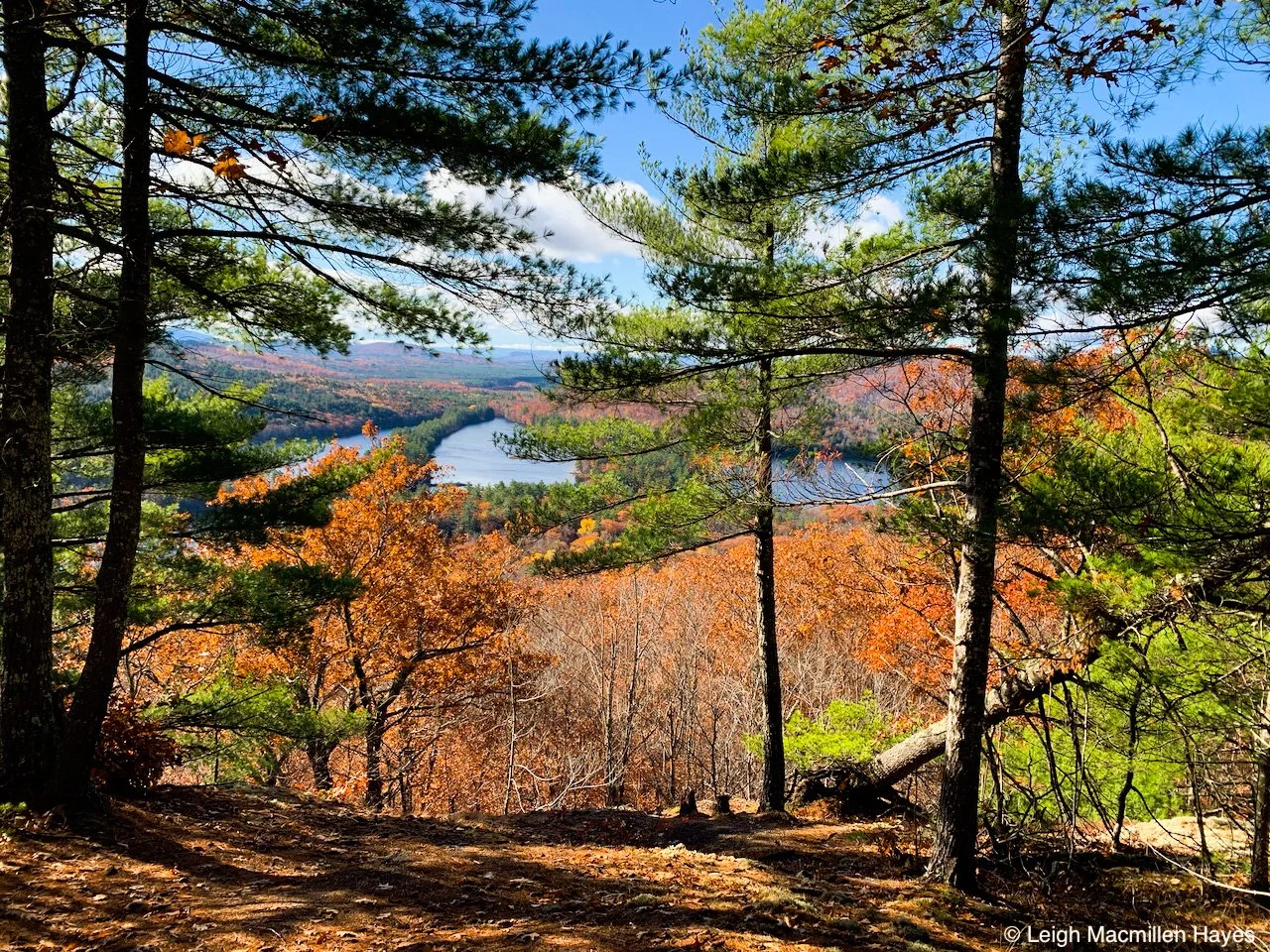 Five Kezars Fall Hike