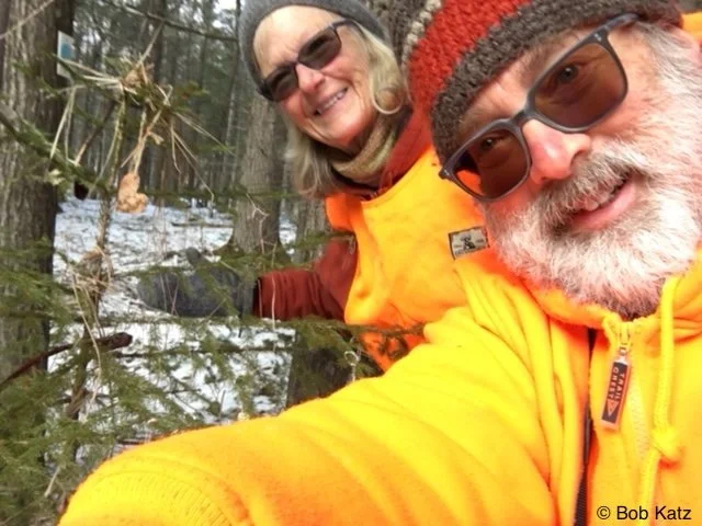 Decorate a Holiday Tree