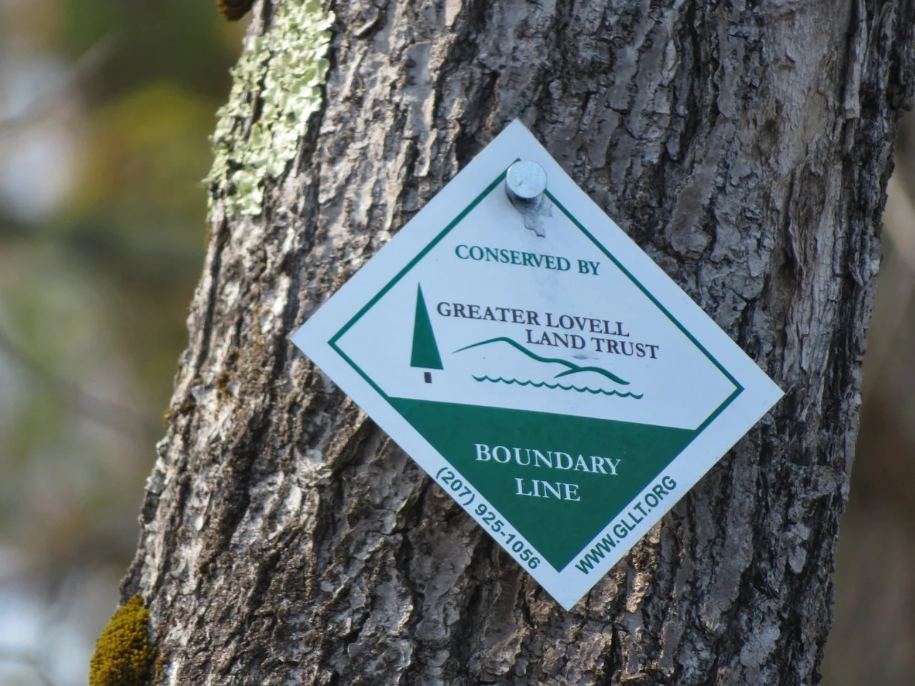 Boundary Line Maintenance with Jon Bliss