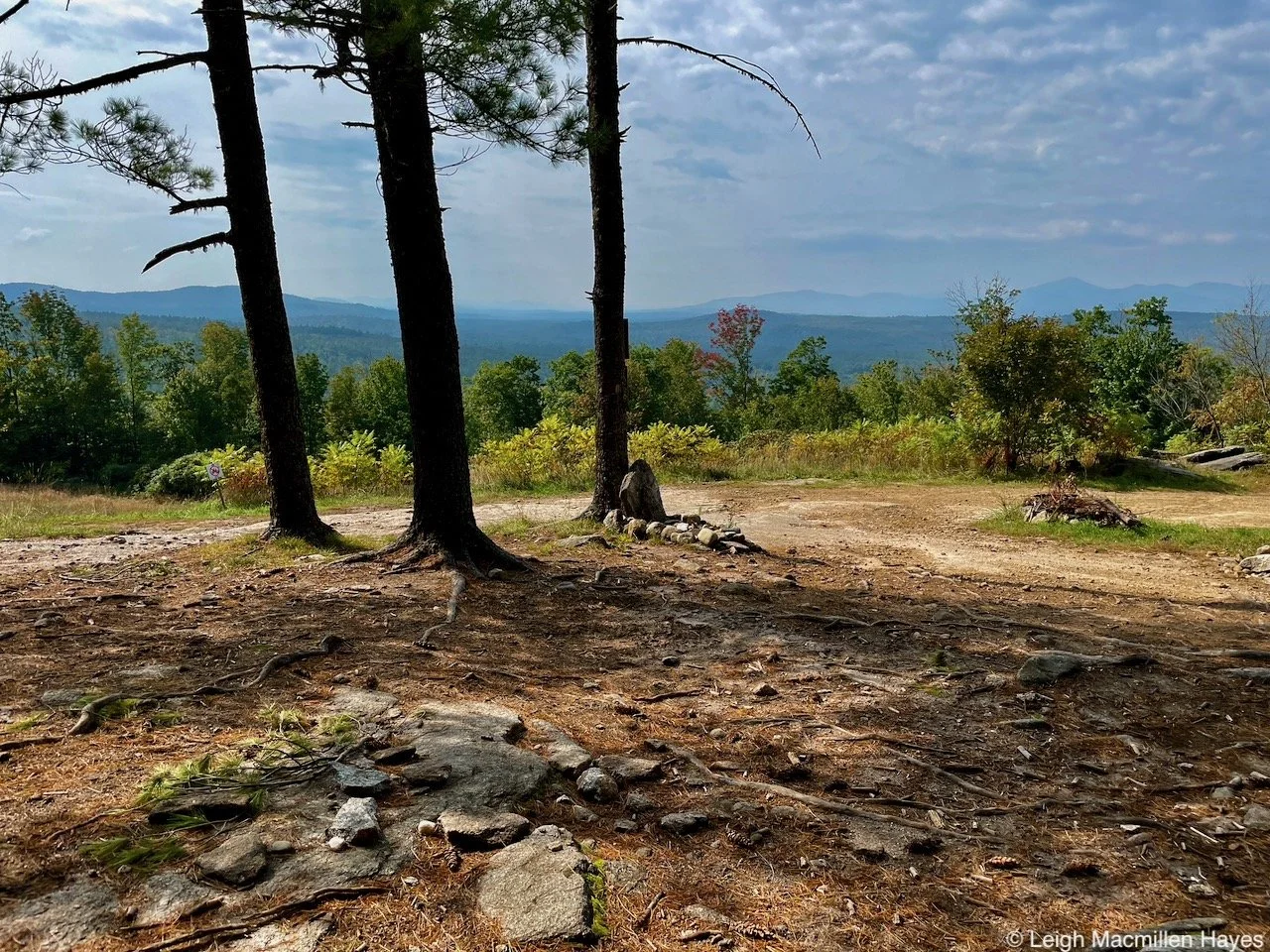 Patterson Hill View.jpeg