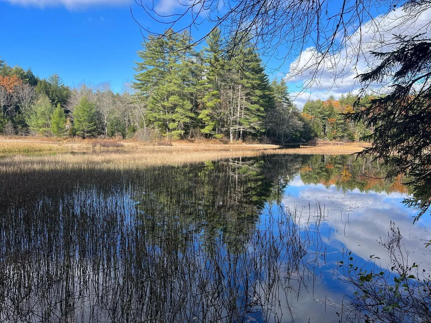 Contact Us — Greater Lovell Land Trust