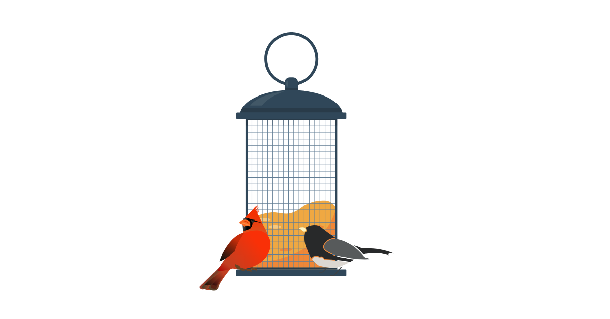 Project FeederWatch