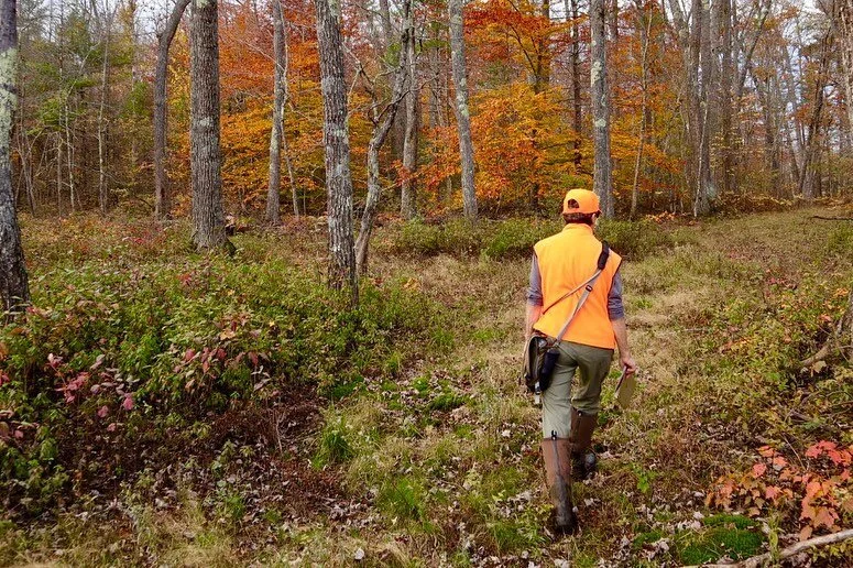 Why Conserve? — Greater Lovell Land Trust