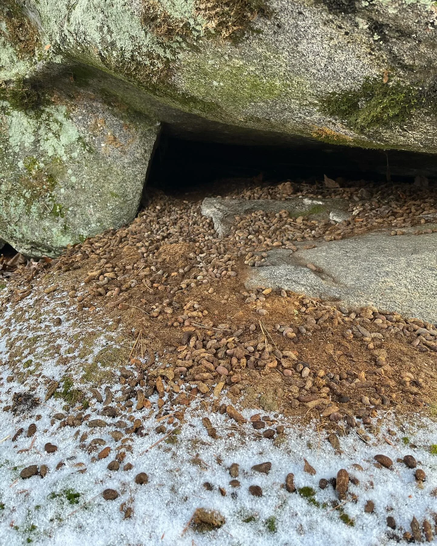 Hiking Trails & More — Greater Lovell Land Trust