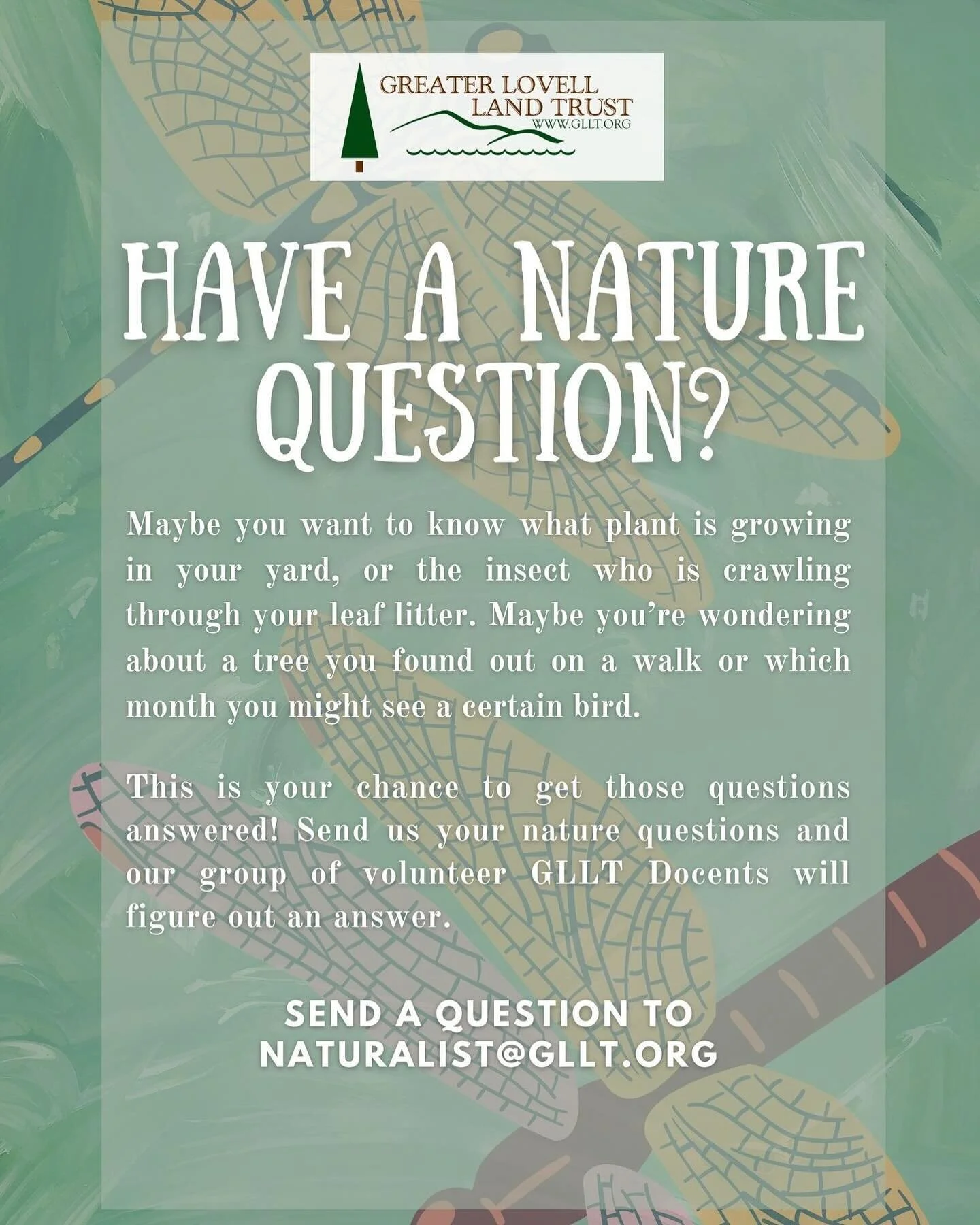 Hiking Trails & More — Greater Lovell Land Trust