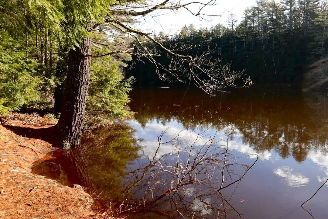 Kezar River South Project — Greater Lovell Land Trust