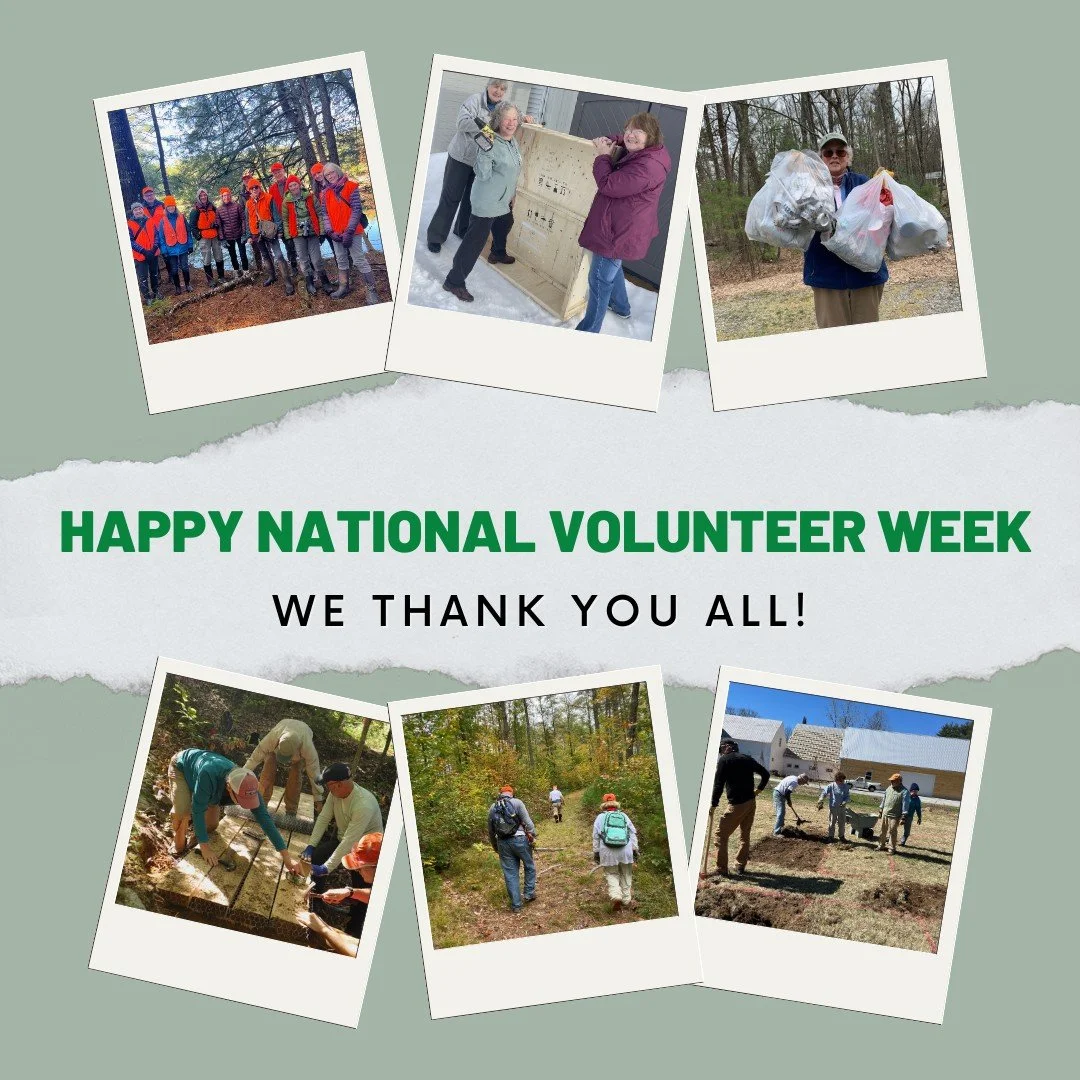 Hiking Trails & More — Greater Lovell Land Trust