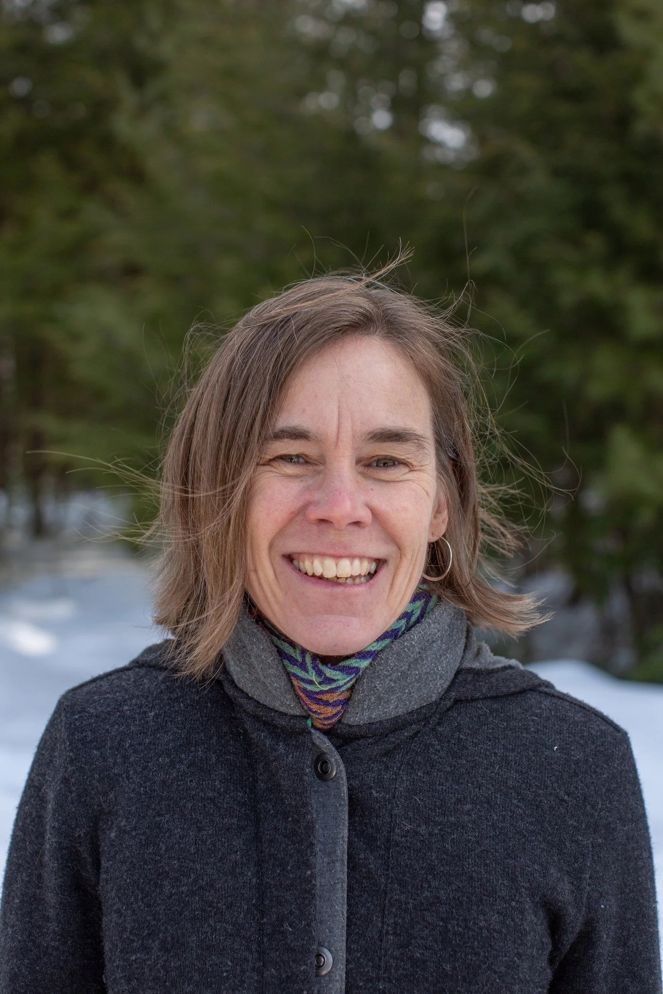 Hiking Trails & More — Greater Lovell Land Trust