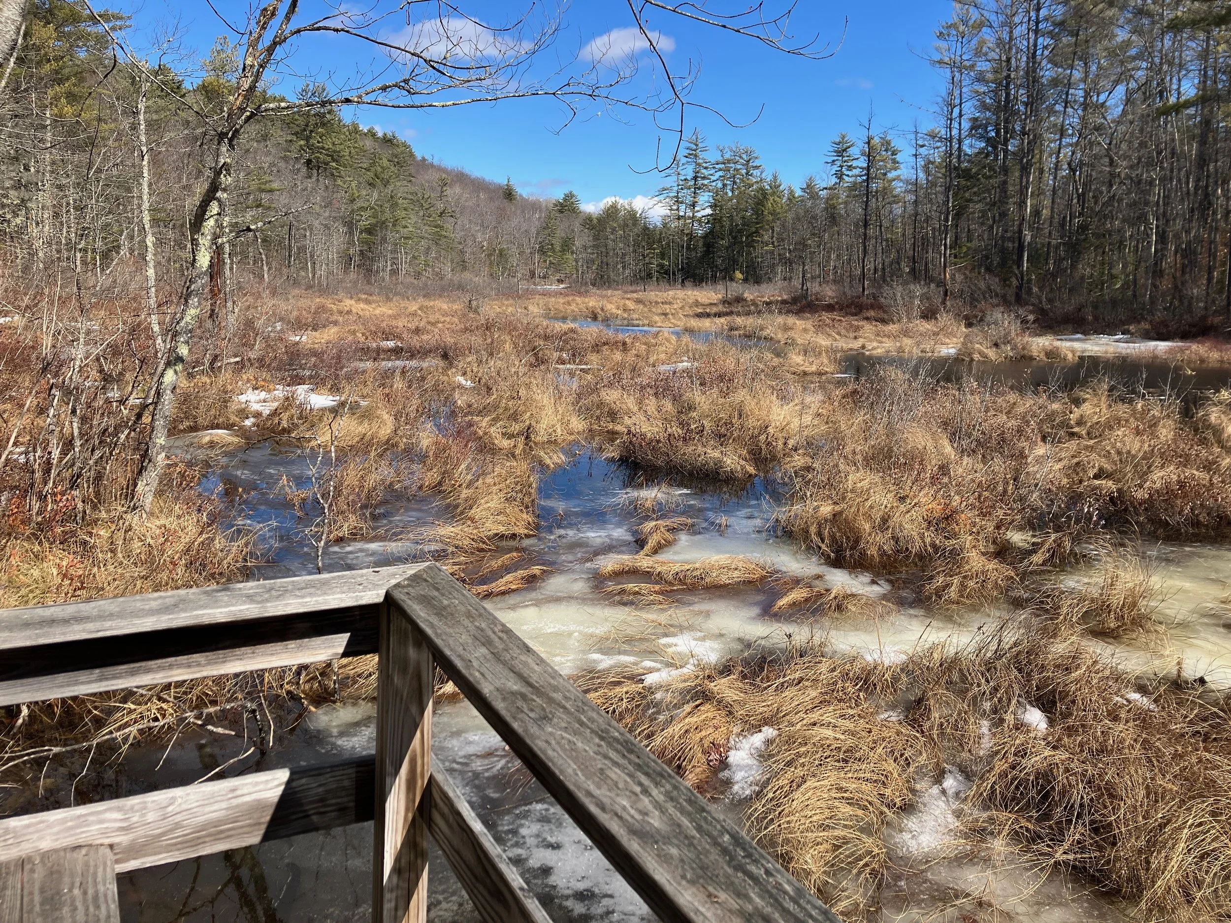 Perky's Path 3.17.26.jpg