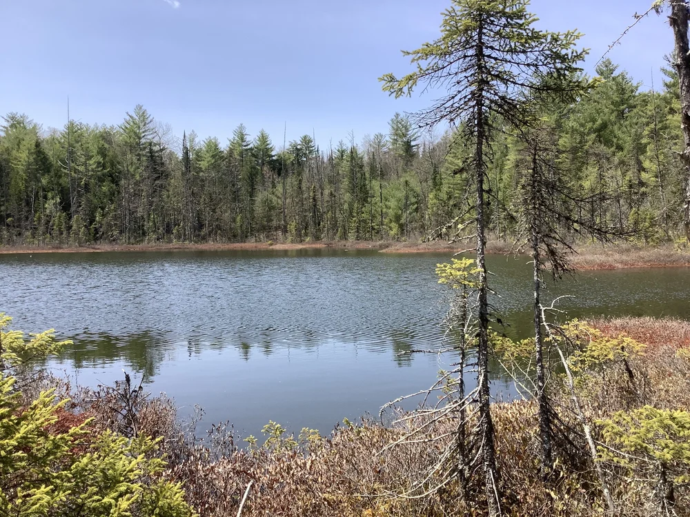 Kezar River South Project — Greater Lovell Land Trust
