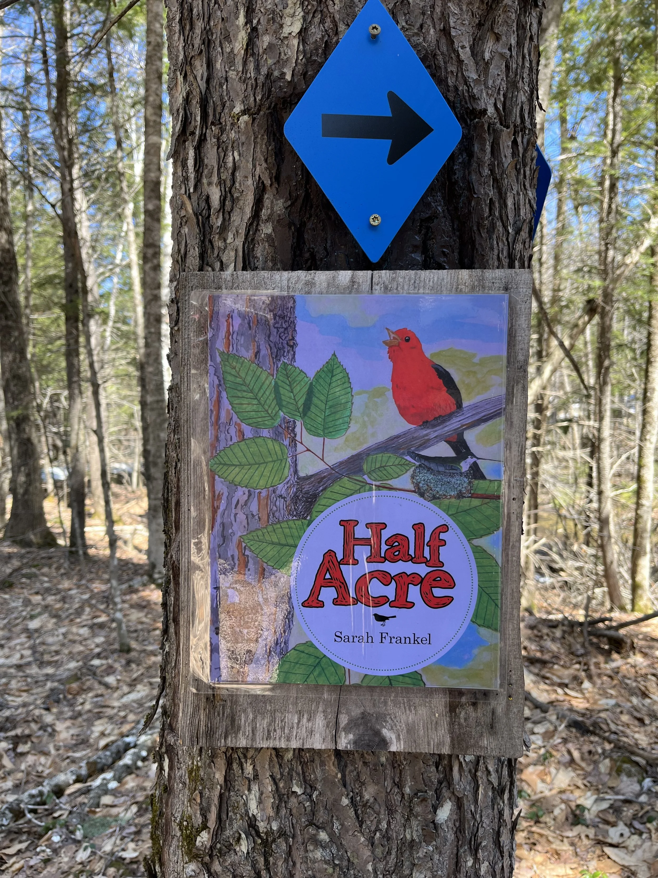 SelfGuided Adventures — Greater Lovell Land Trust