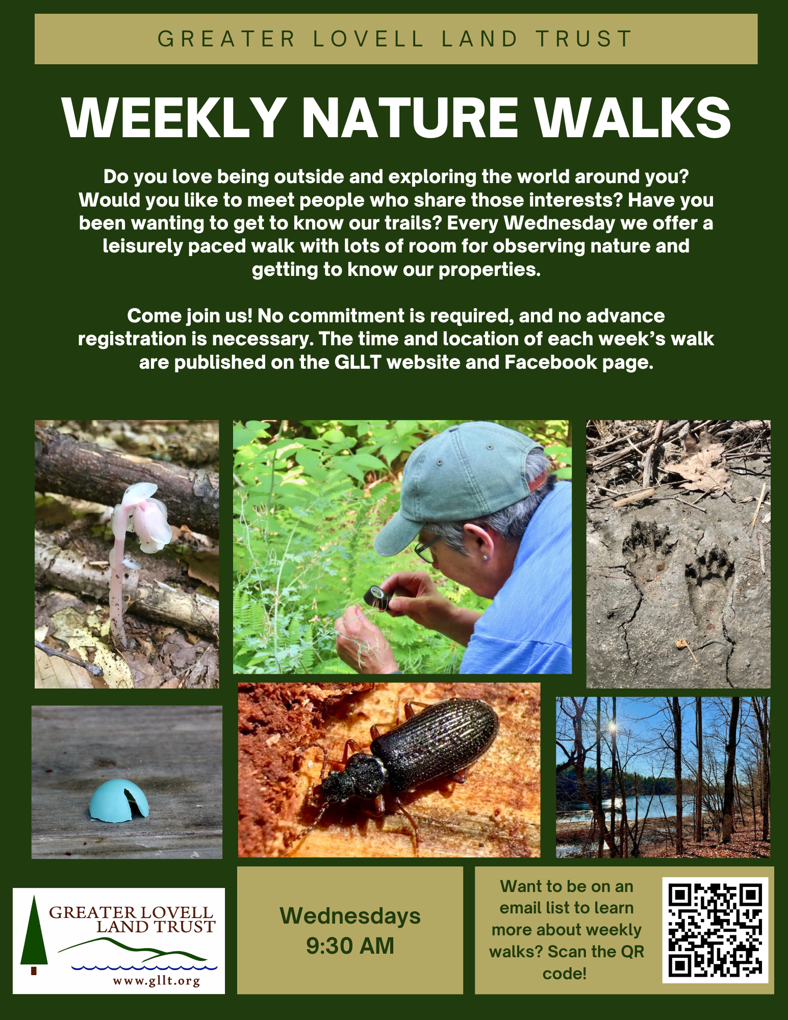 Nature Walks Poster (1).png