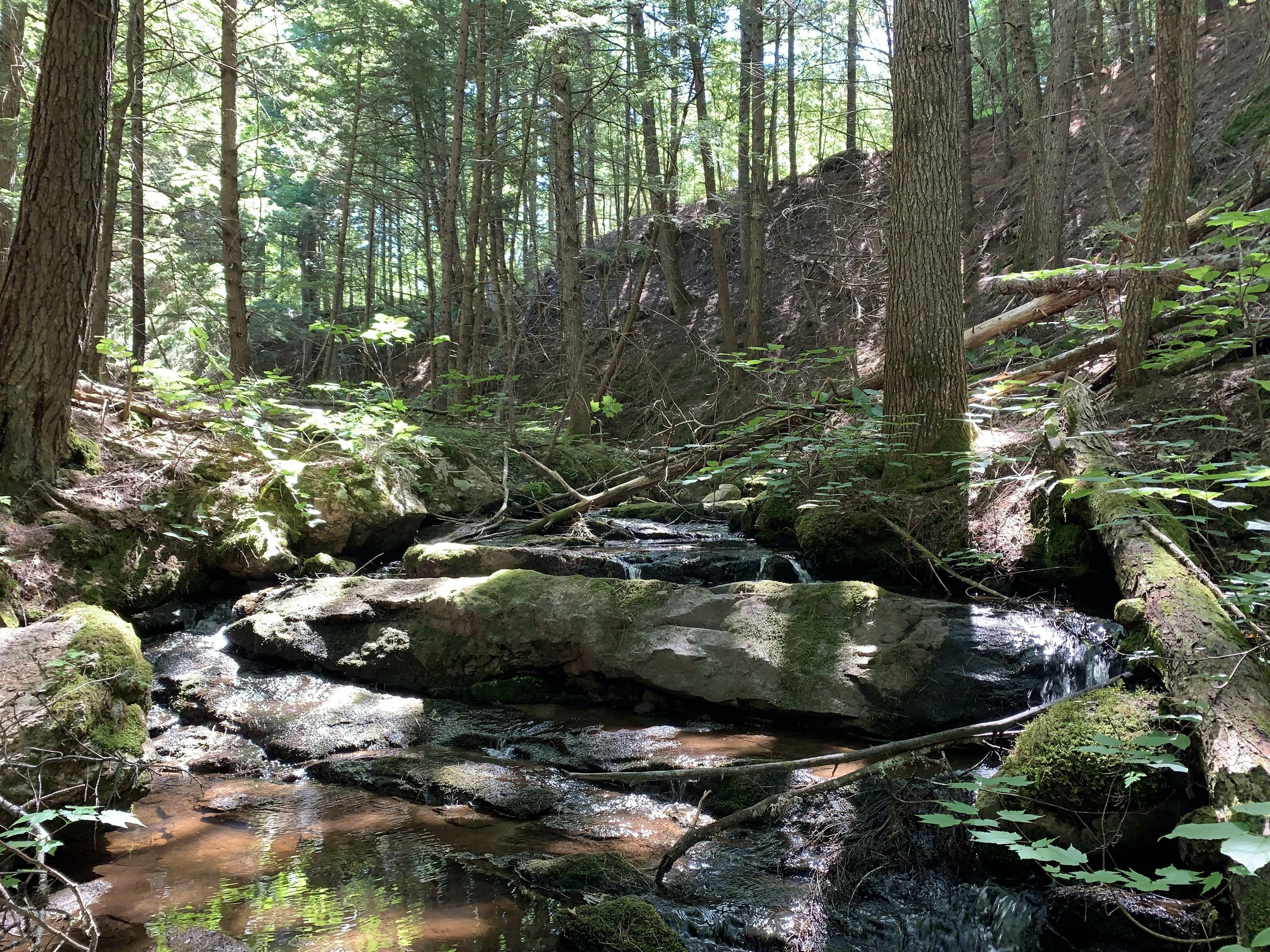 Kezar River South Project — Greater Lovell Land Trust