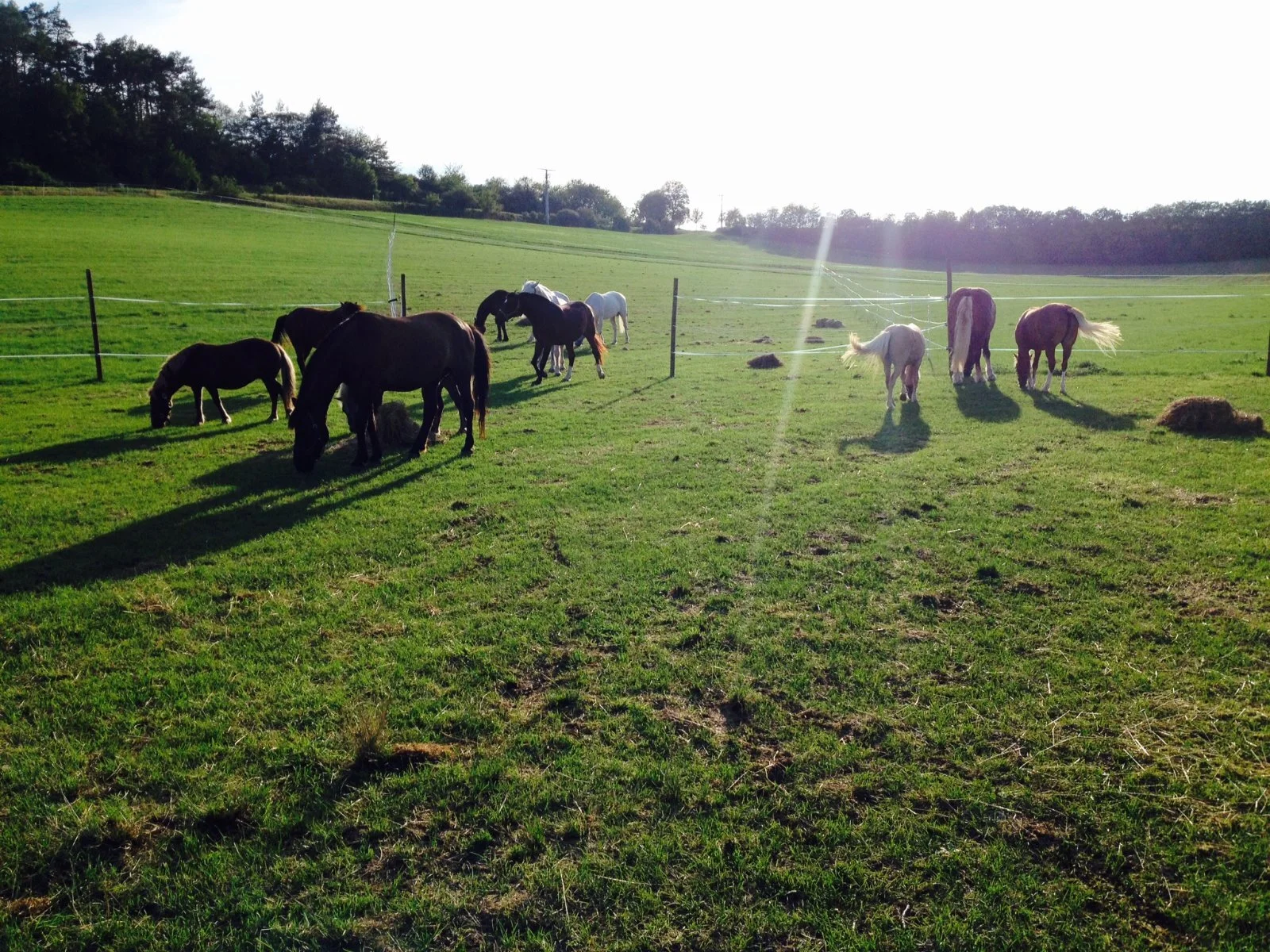 WhatsApp Image 2020-01-29 at 19.57.09.jpeg