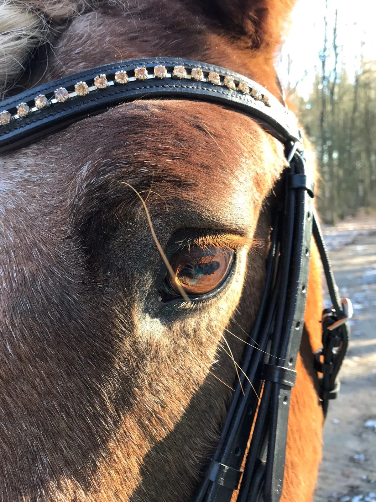 WhatsApp Image 2020-01-29 at 19.57.35.jpeg