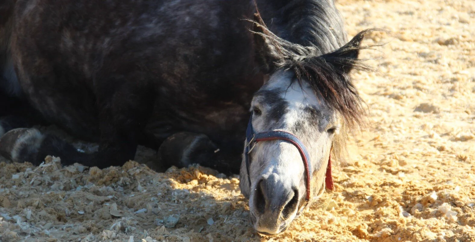 WhatsApp Image 2020-03-30 at 20.06.45 (7).jpeg