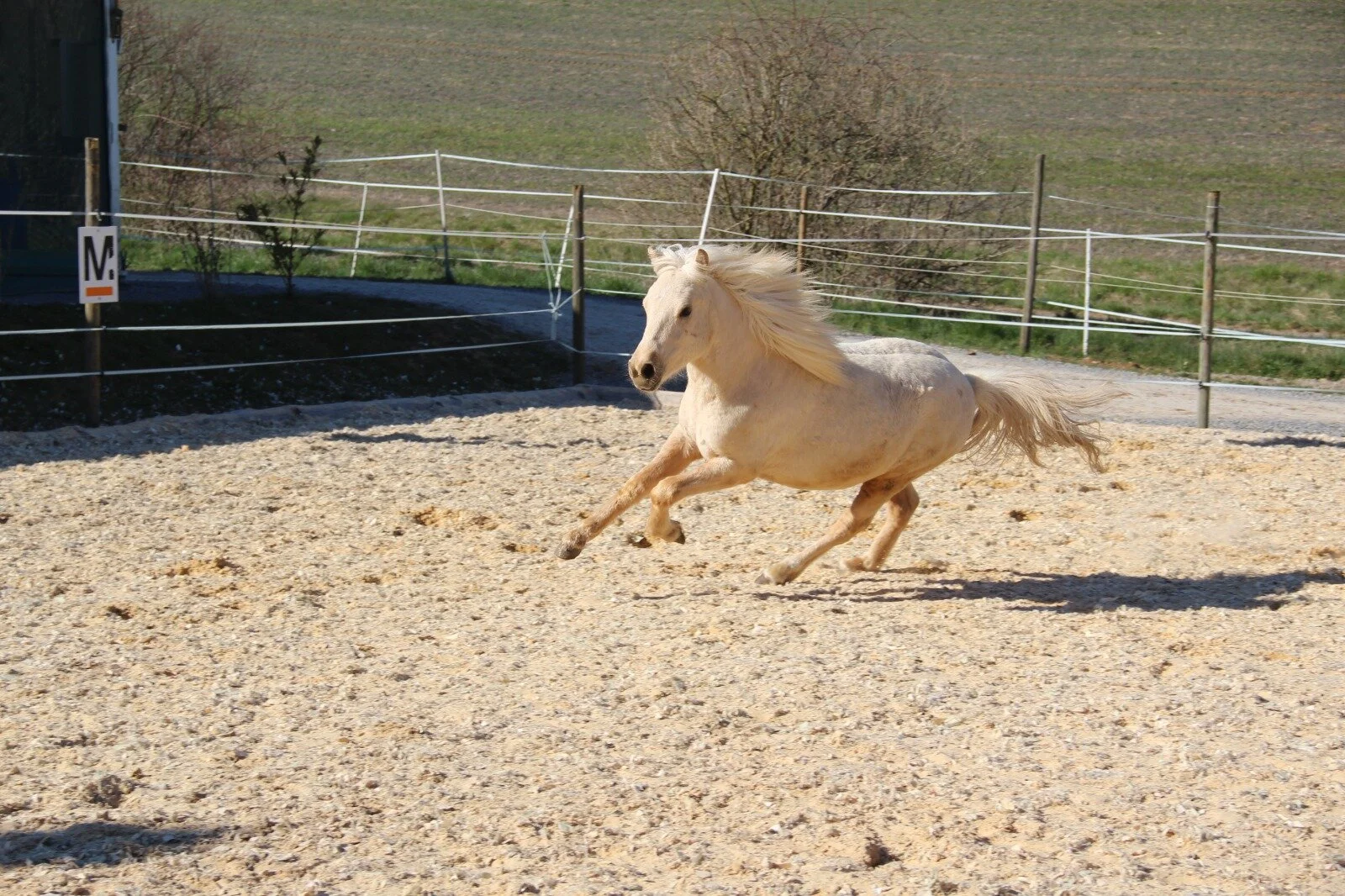 WhatsApp Image 2020-03-30 at 20.07.12 (1).jpeg