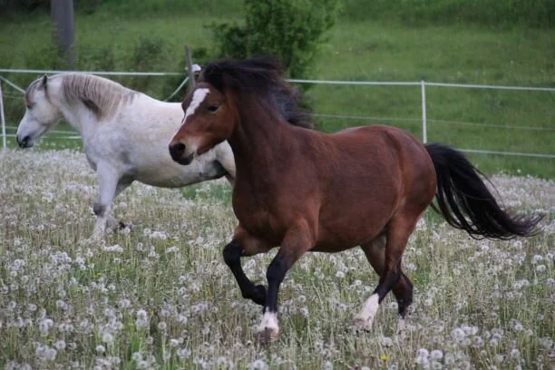 WhatsApp Image 2020-04-30 at 20.08.42 (1).jpeg