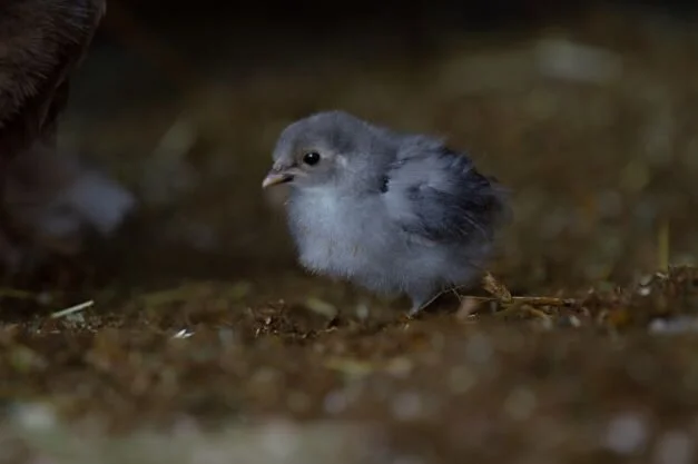 WhatsApp Image 2021-07-27 at 15.38.27 (2).jpeg