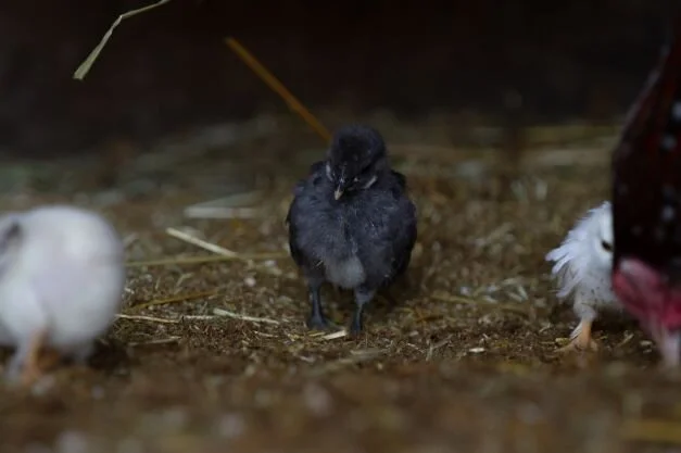 WhatsApp Image 2021-07-27 at 15.38.27 (3).jpeg