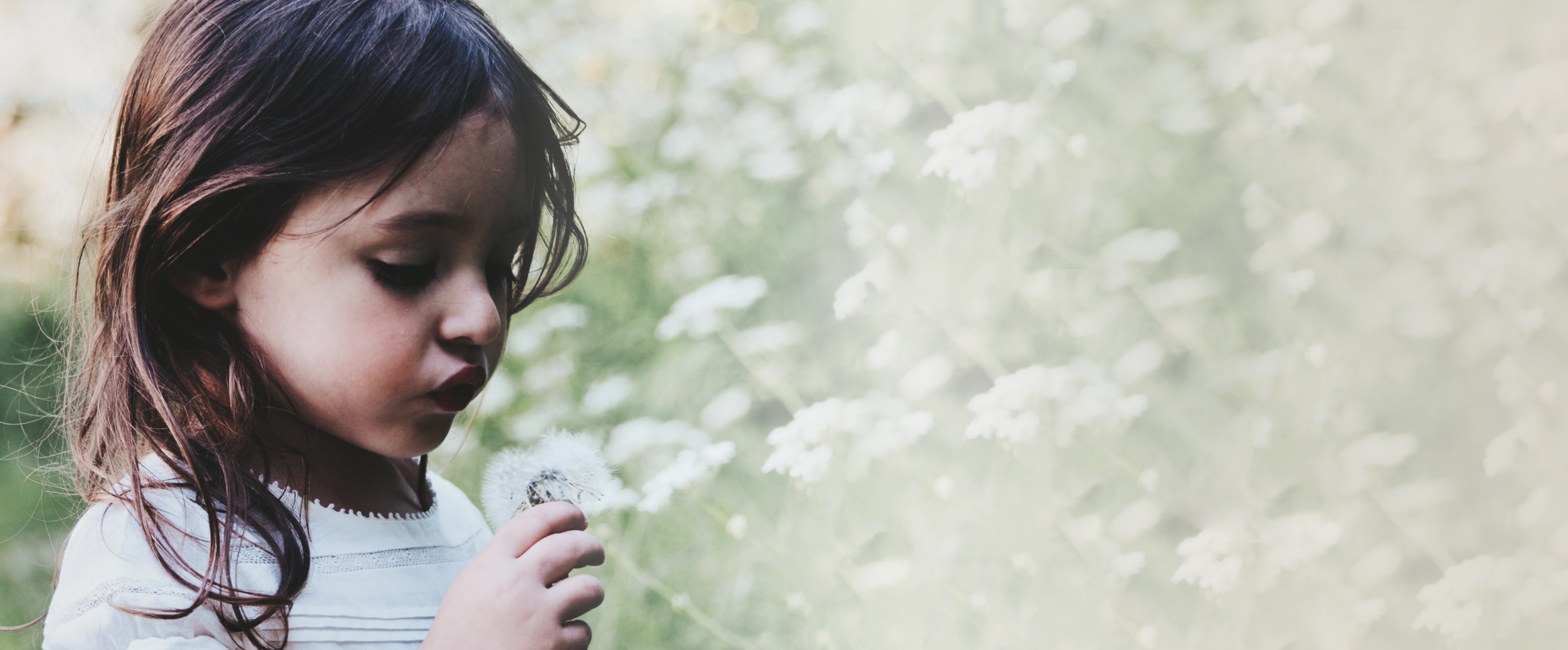 girl-dandelion-banner.png