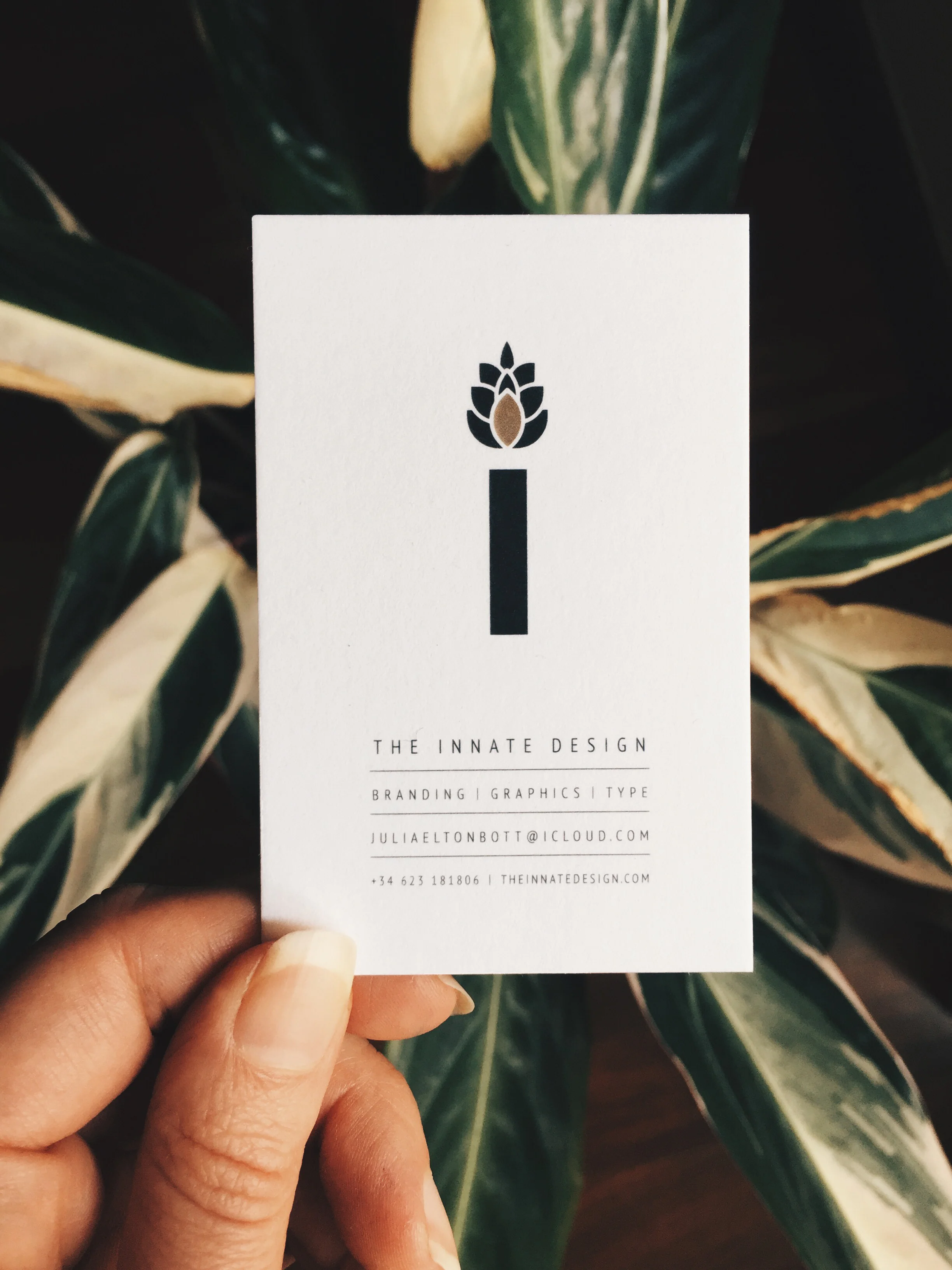 Innate card Front.jpg