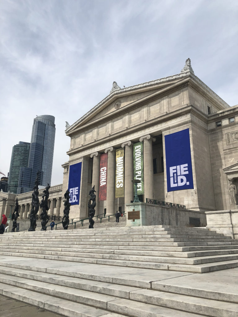 The Field Museum