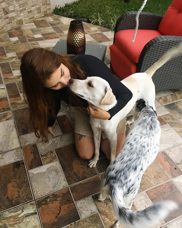 Si tienen mascotas en la casa, pasen un rato con ellos cuando se sientan un poco mejor! Su entusiasmo es contagioso.