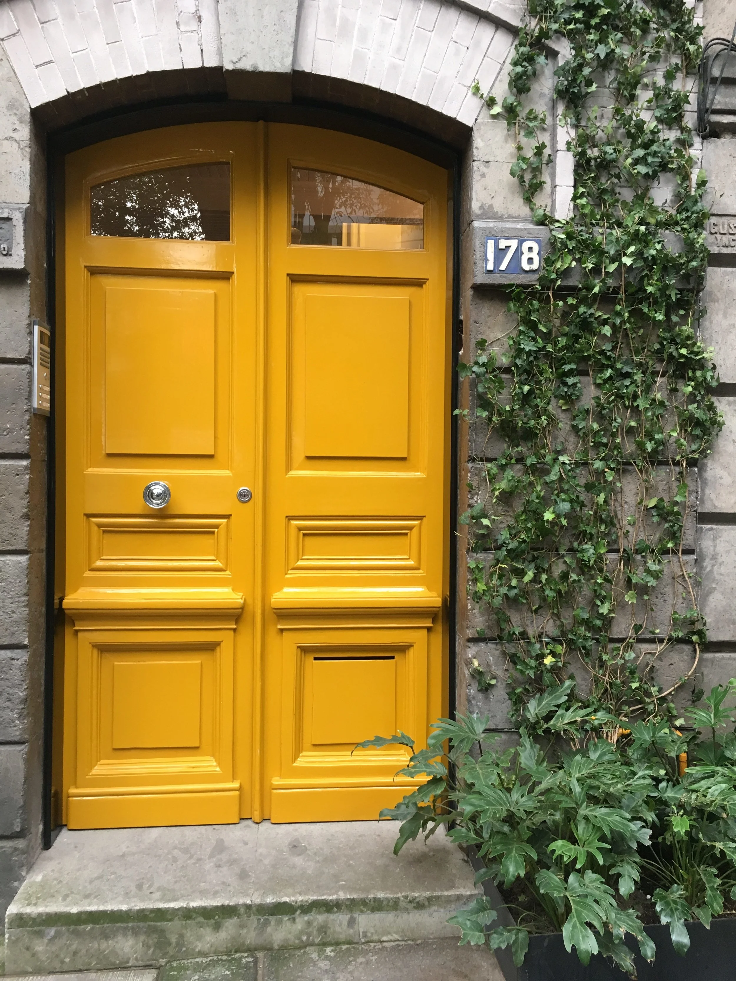 Puerta linda en La Condesa