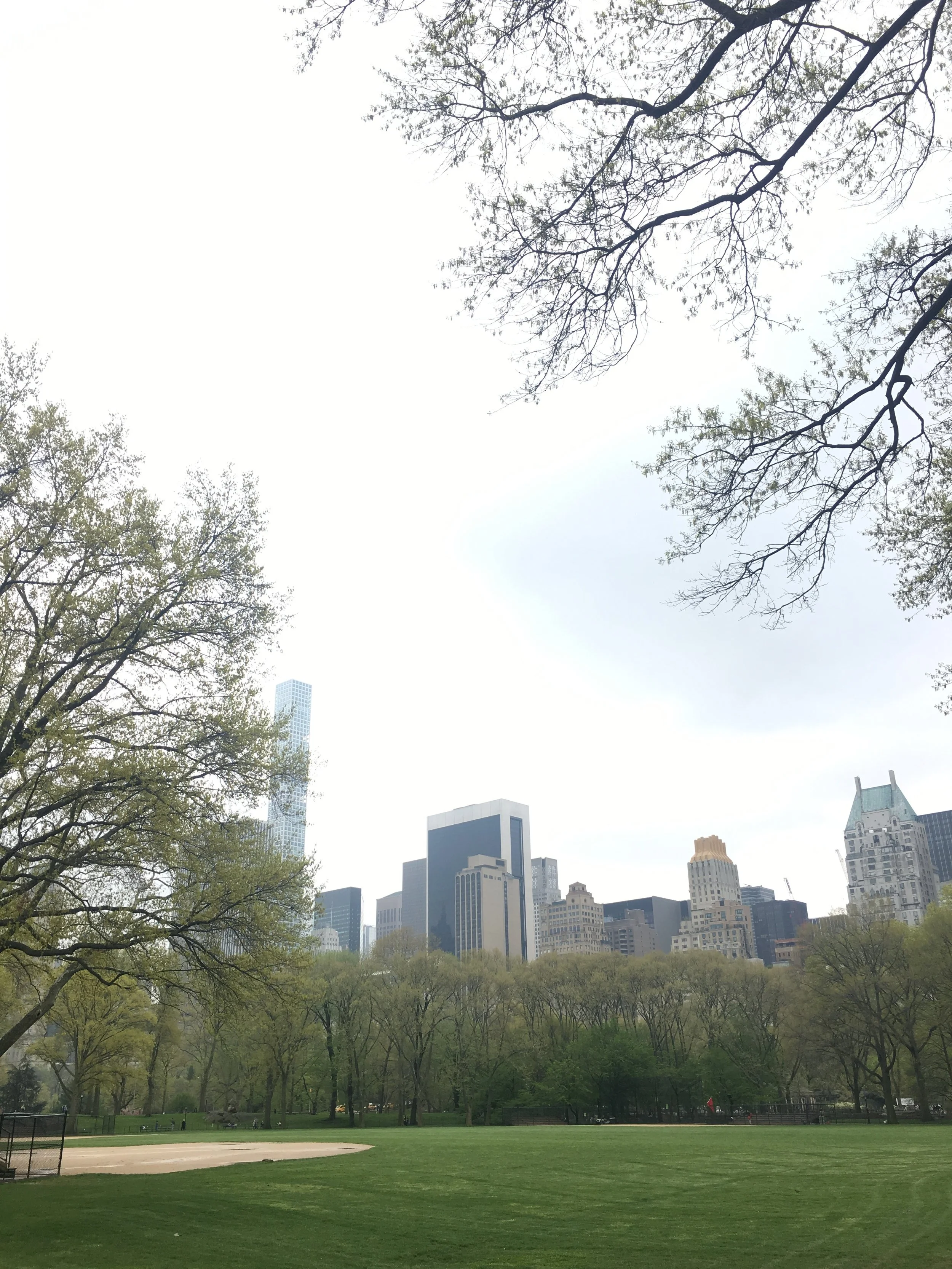 IMG_7007.jpeg