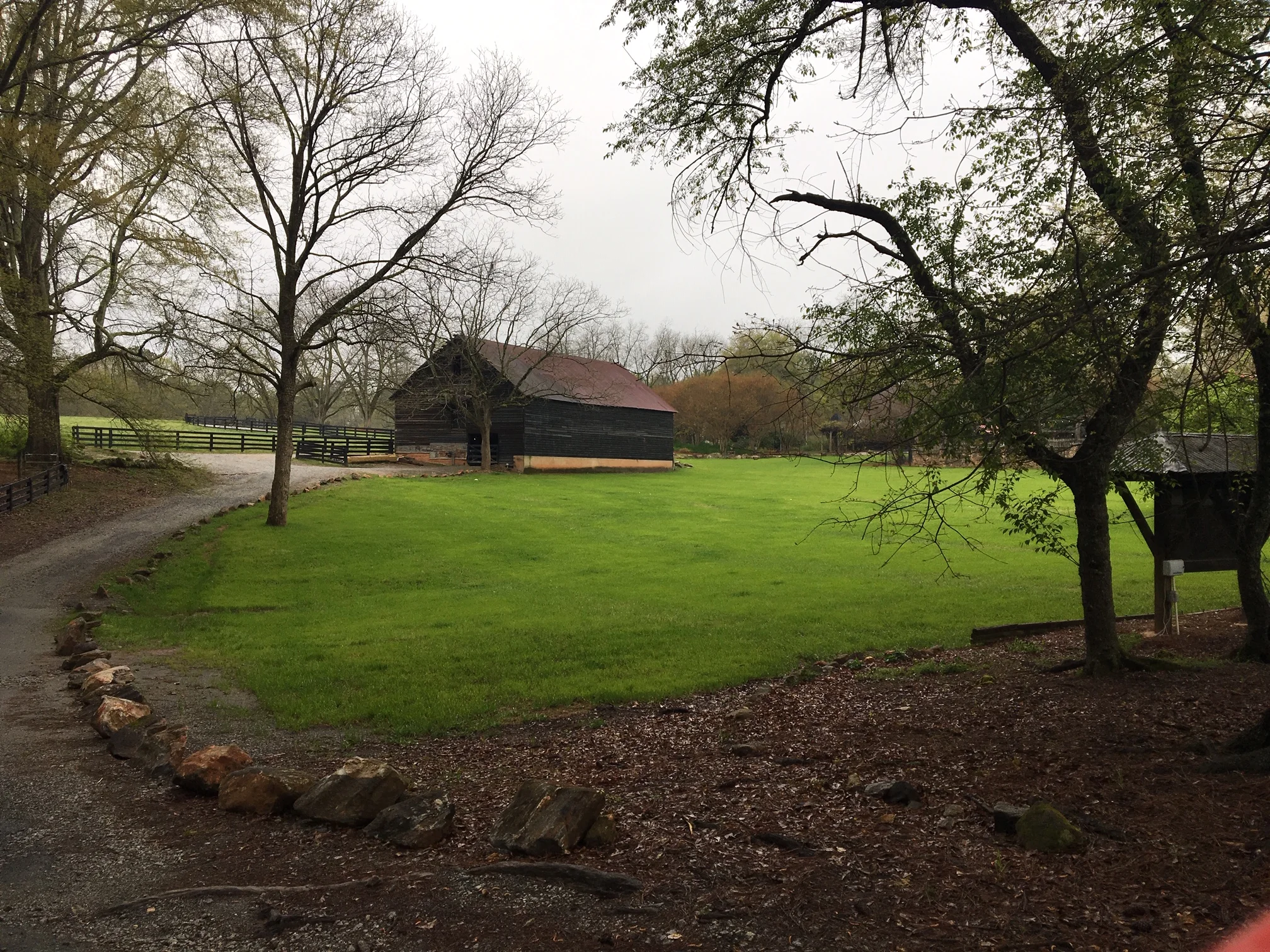  Personal photos. Serenbe Farms outside of Atlanta, GA and a (loud) rooster. 