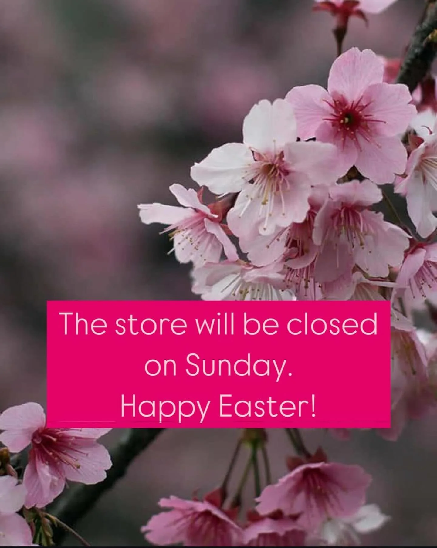 🌱🌞💕🐰🌸🐣
Have a wonderful weekend everyone!
Thank you so much for supporting RG, we appreciate each &amp; every one of you. 🙏🏼💗🙏🏼