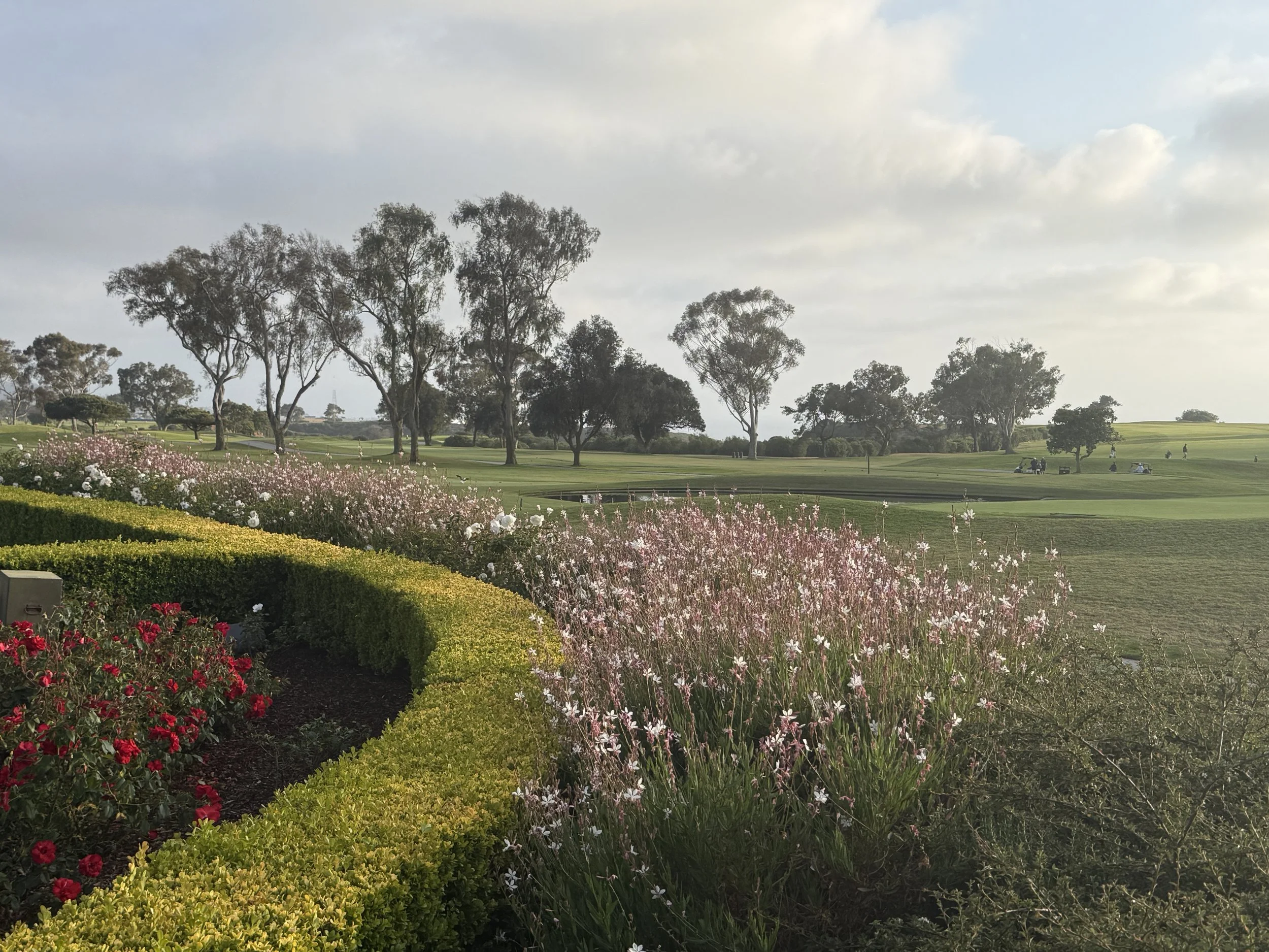 Traveling to Gorgeous La Jolla