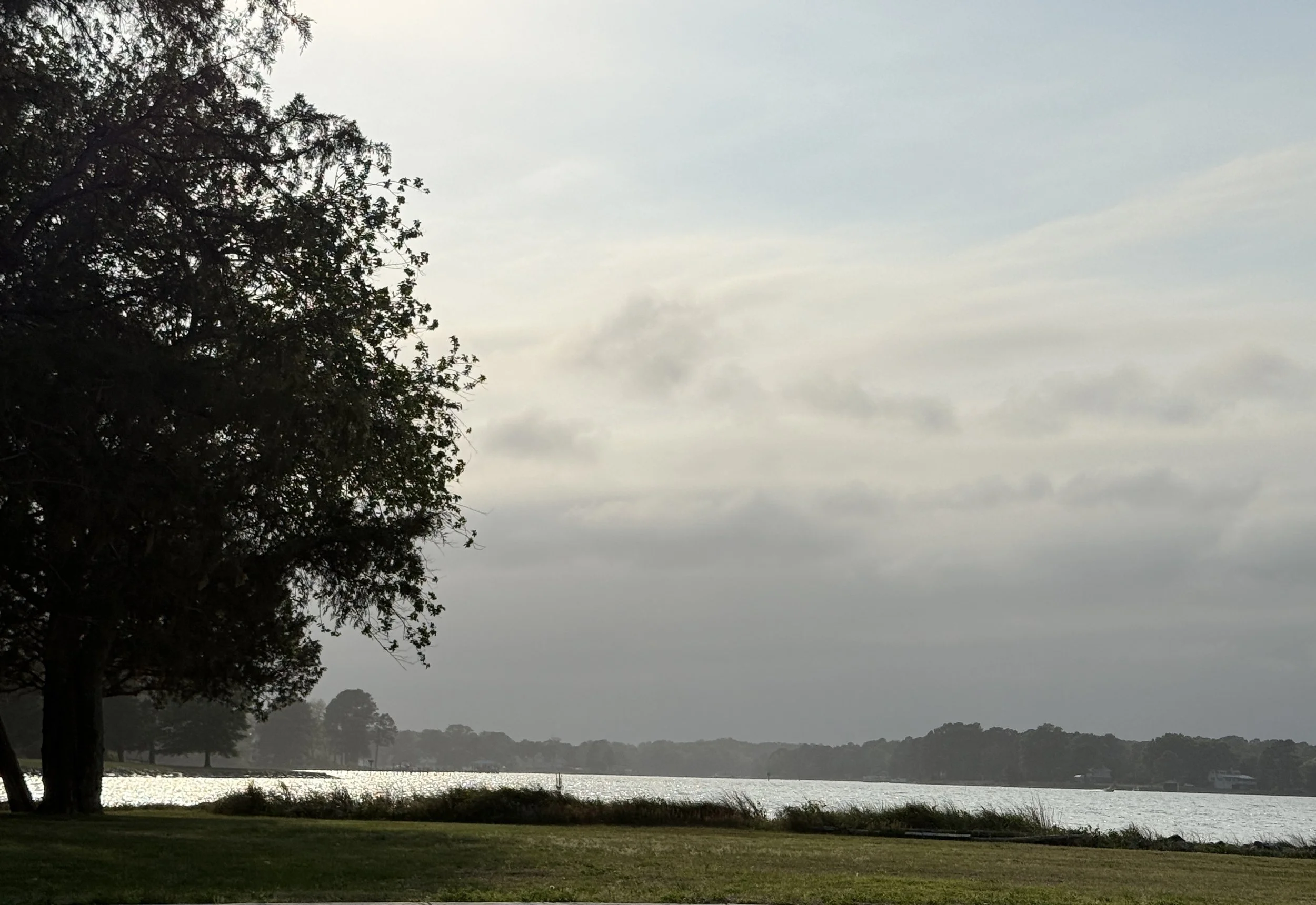 Stutt's Creek from Fitchetts Wharf