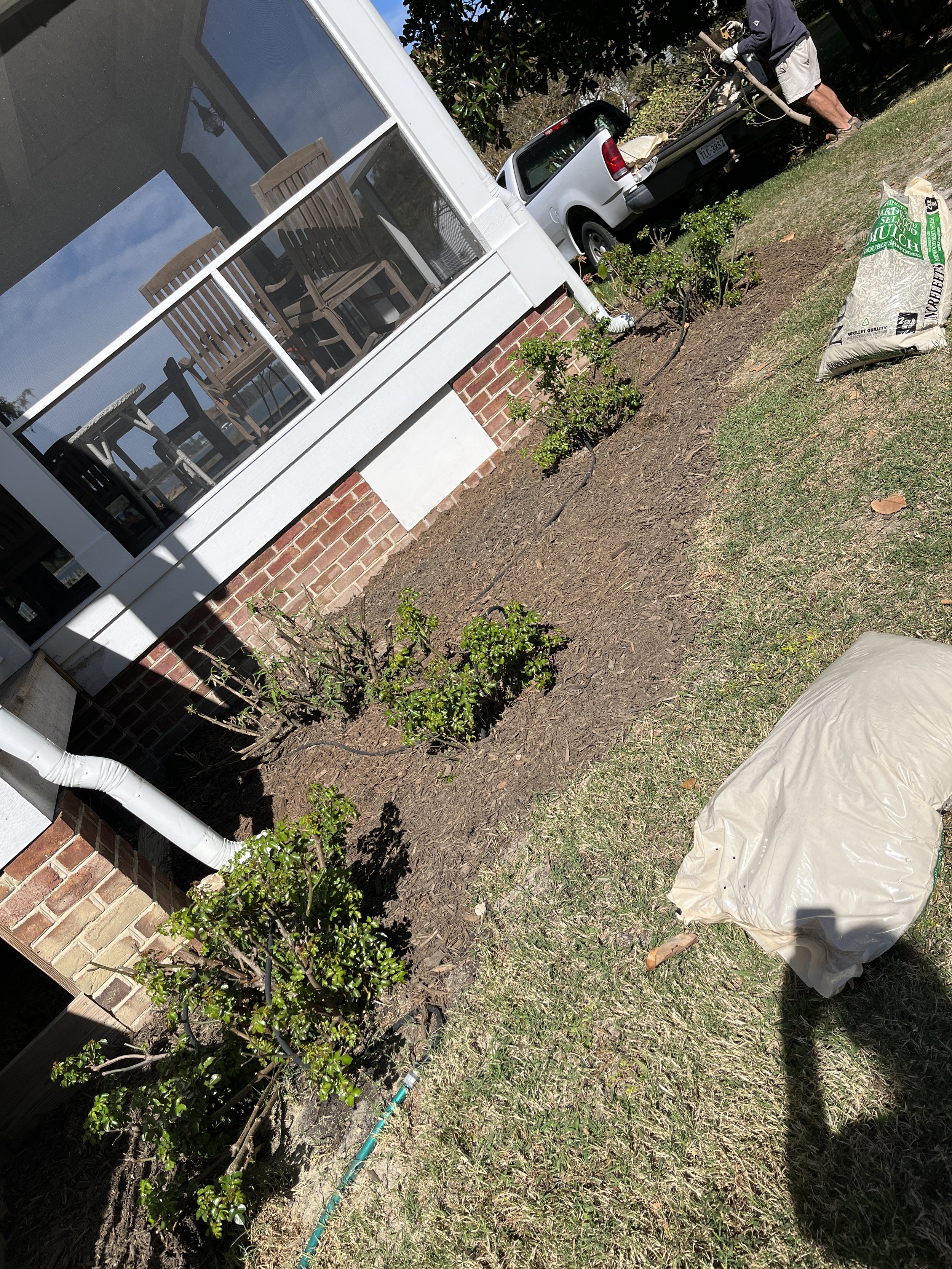Foundation plantings at the river house