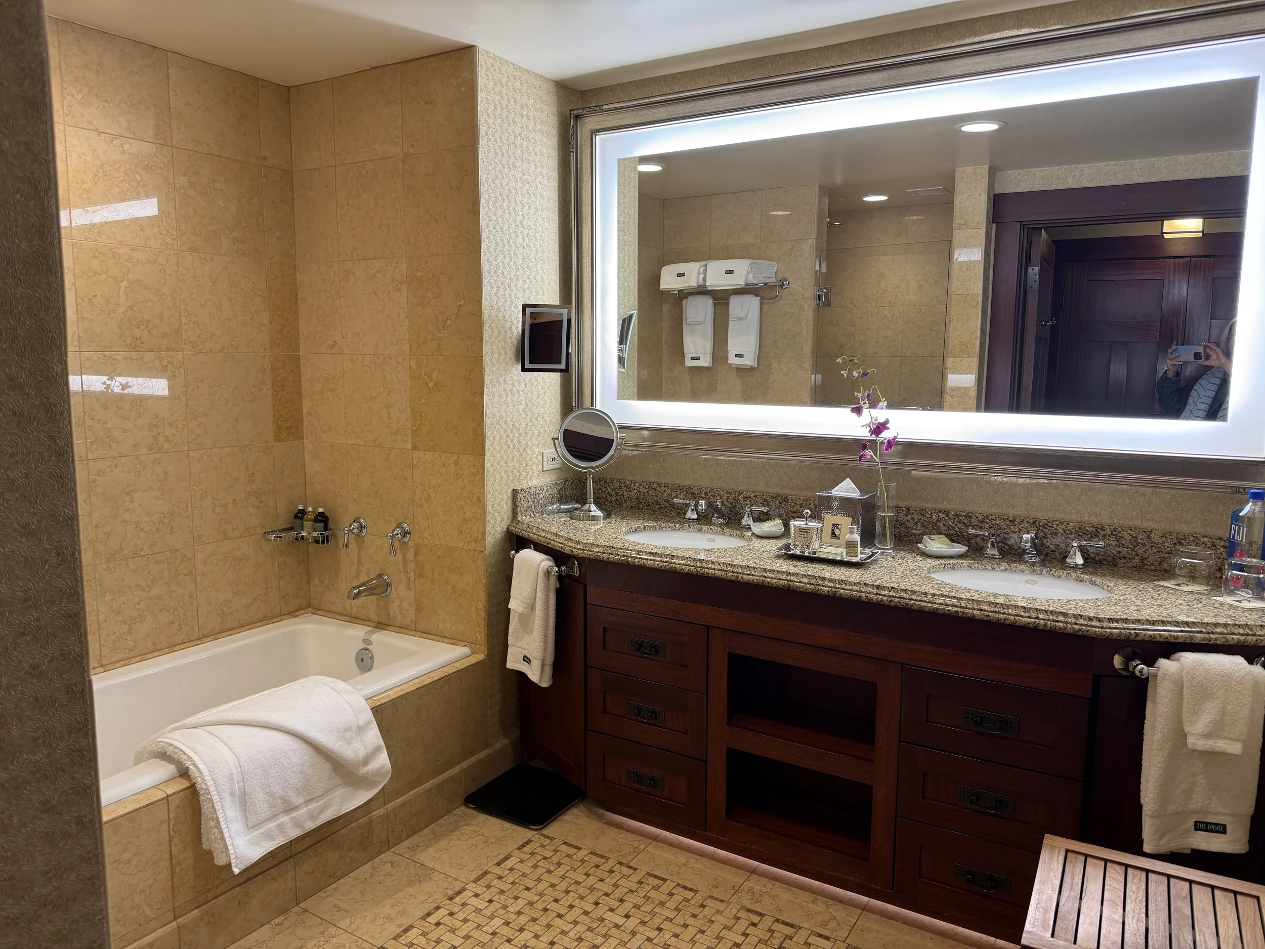 Guest bath at Torrey Pines