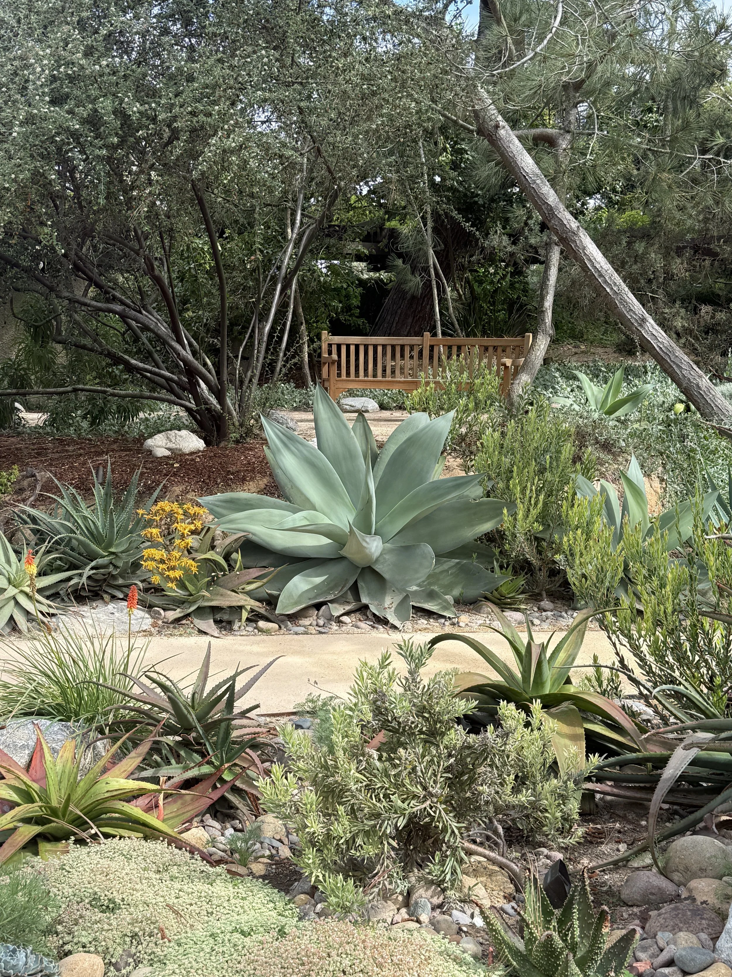 Courtyard at Torrey Pines
